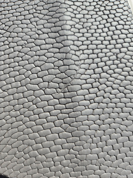 Beaver Tail - Grey (Matte)