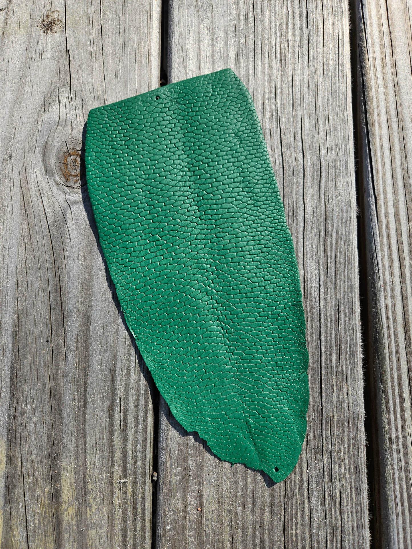 Beaver Tail - Kelly Green (Matte)