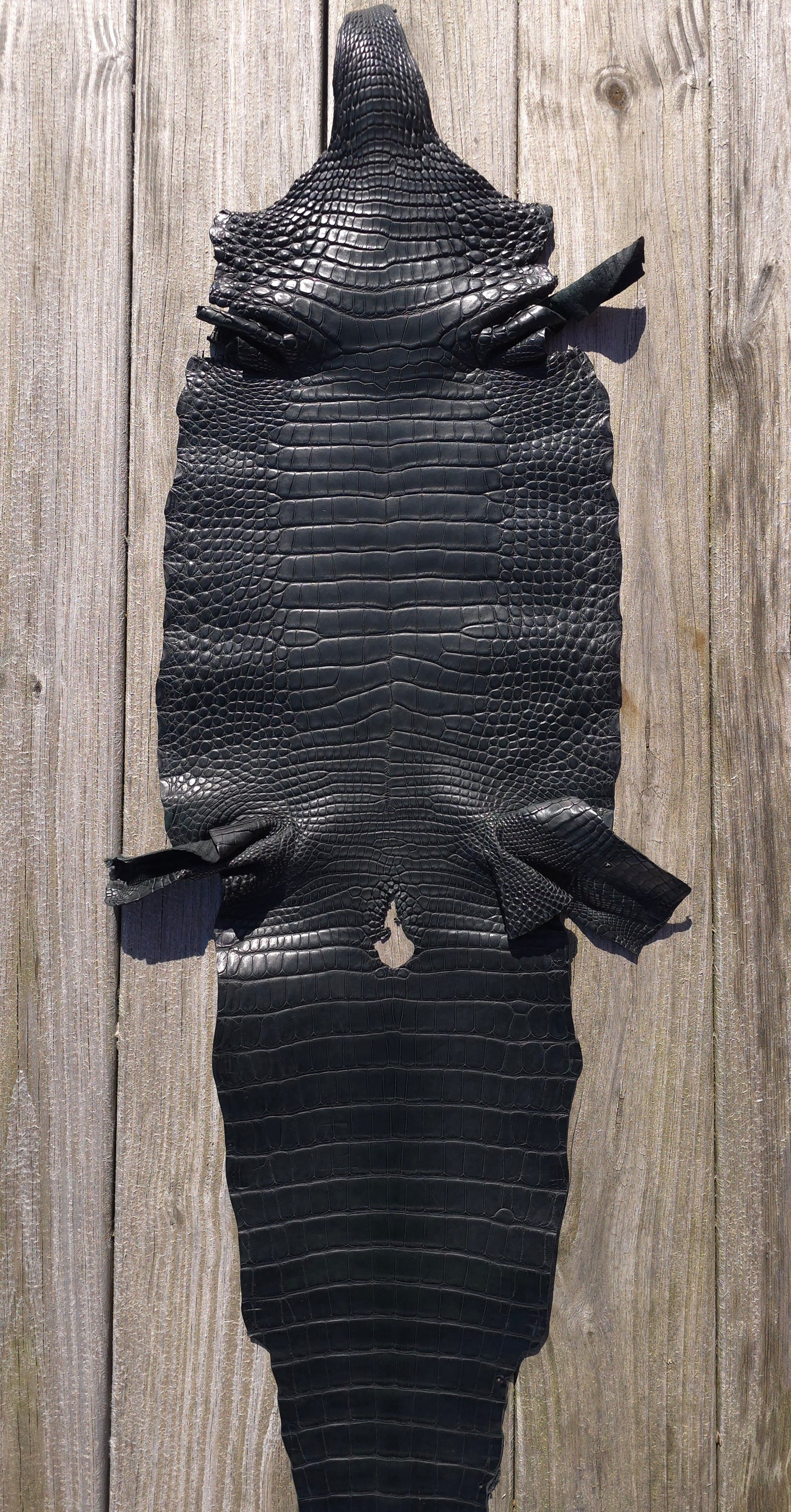 Alligator Leather (Farm Raised) - Dark Green (32cm / Grade 1/2 / Matte)
