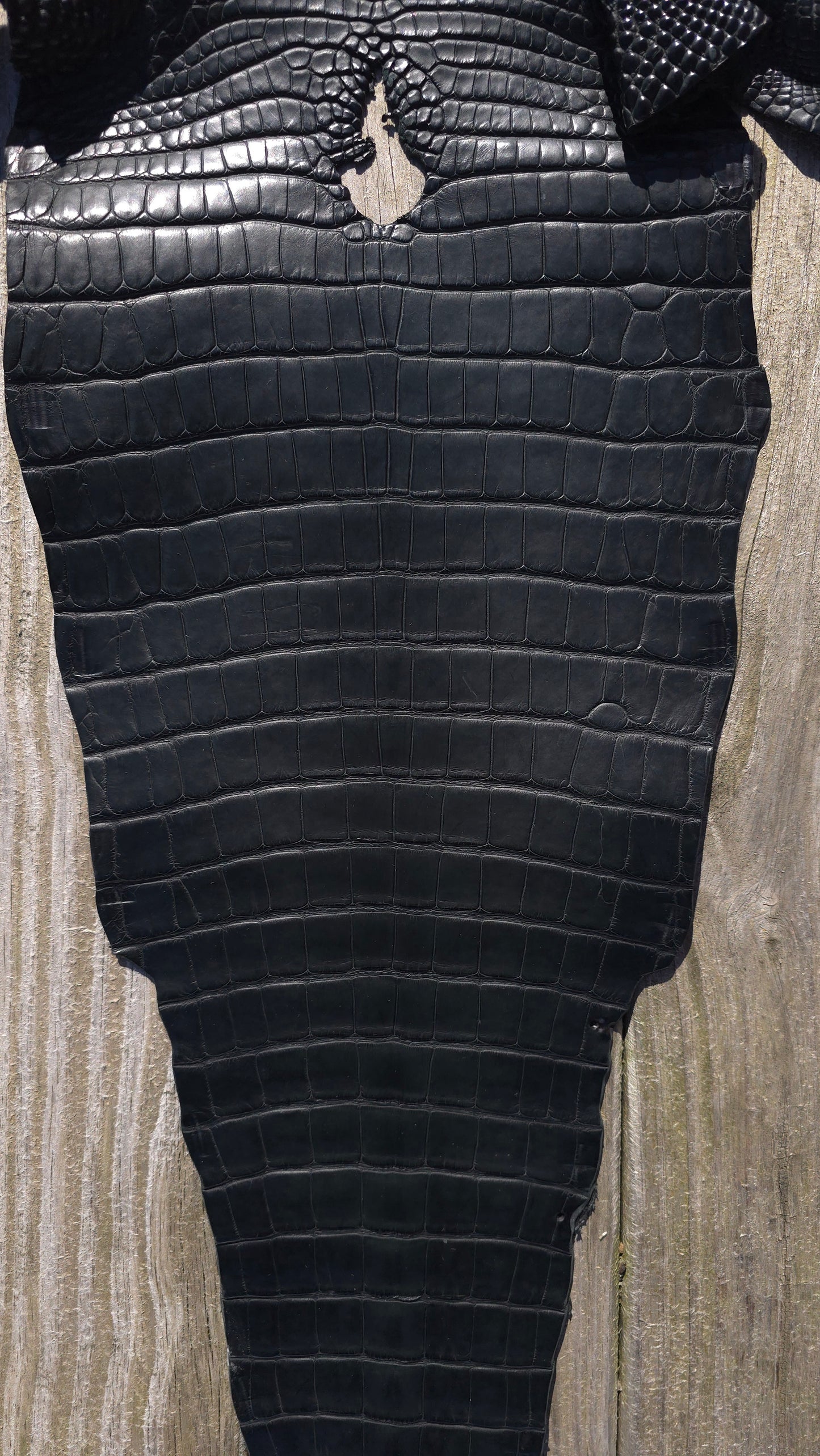 Alligator Leather (Farm Raised) - Dark Green (32cm / Grade 1/2 / Matte)