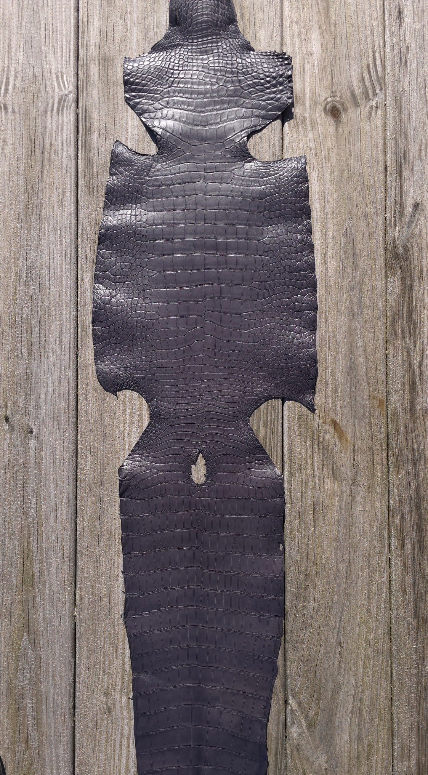 Alligator Leather (Farm Raised) - Dark Grey (29cm / Grade 1/2 / Matte)