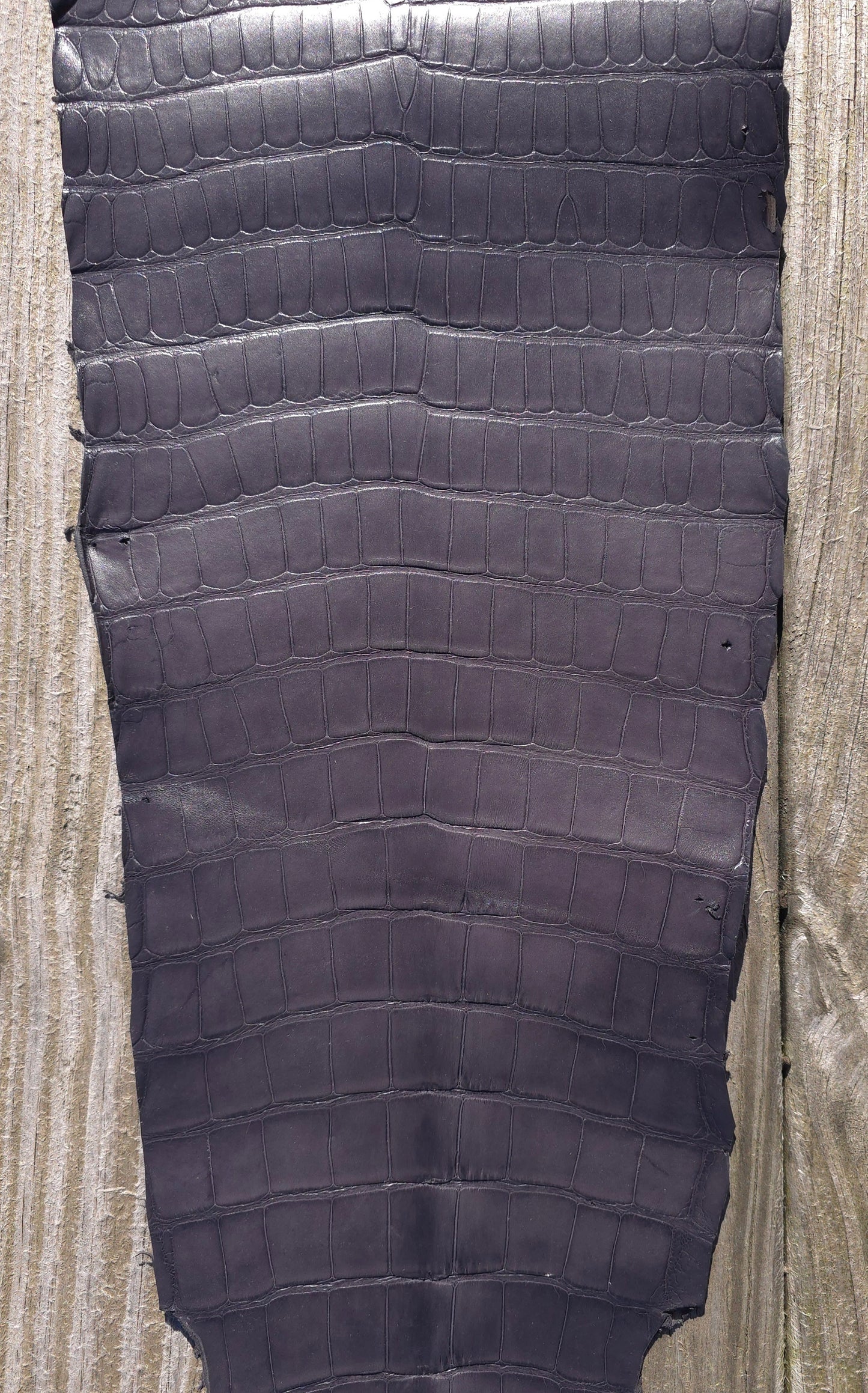 Alligator Leather (Farm Raised) - Dark Grey (29cm / Grade 1/2 / Matte)