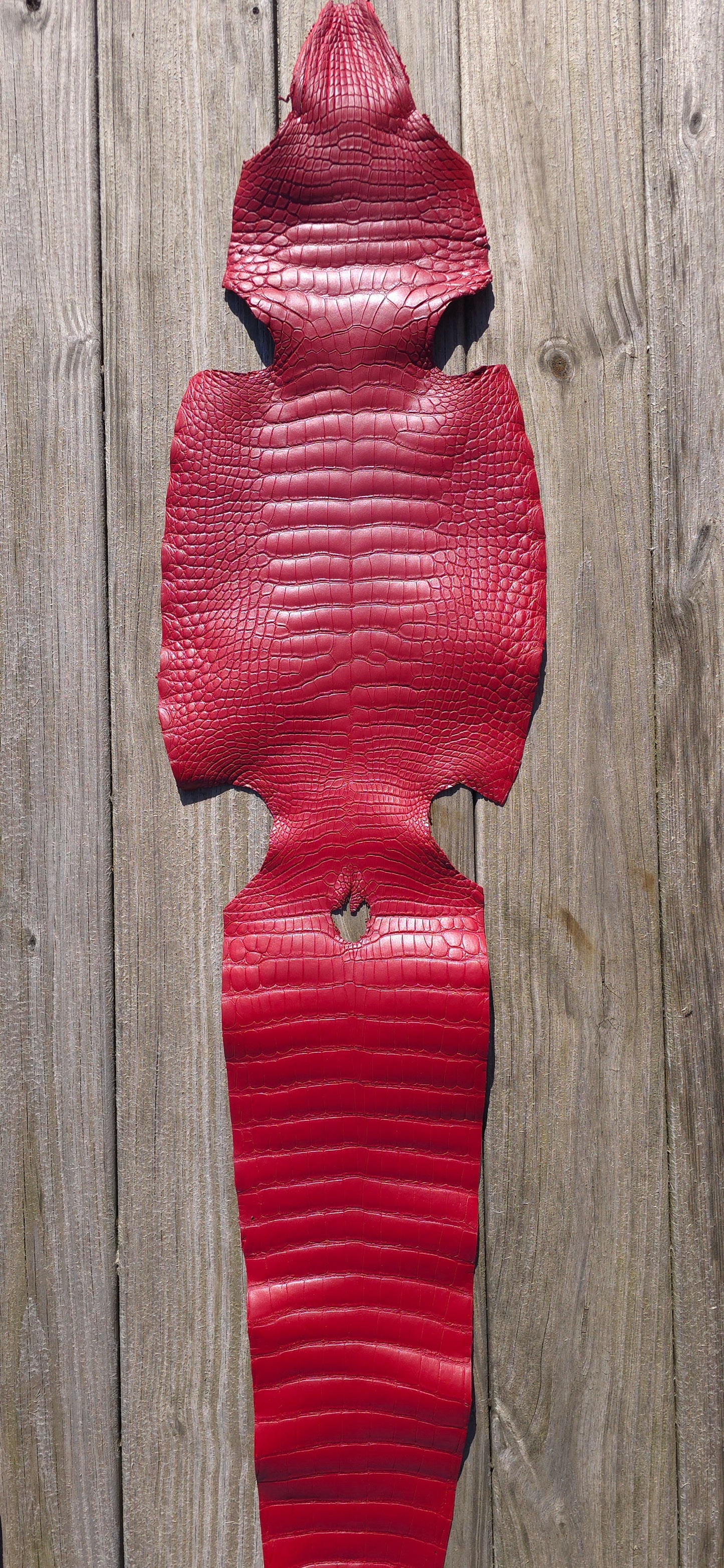 Alligator Leather (Farm Raised) - Red (28cm / Grade 1 / Matte)