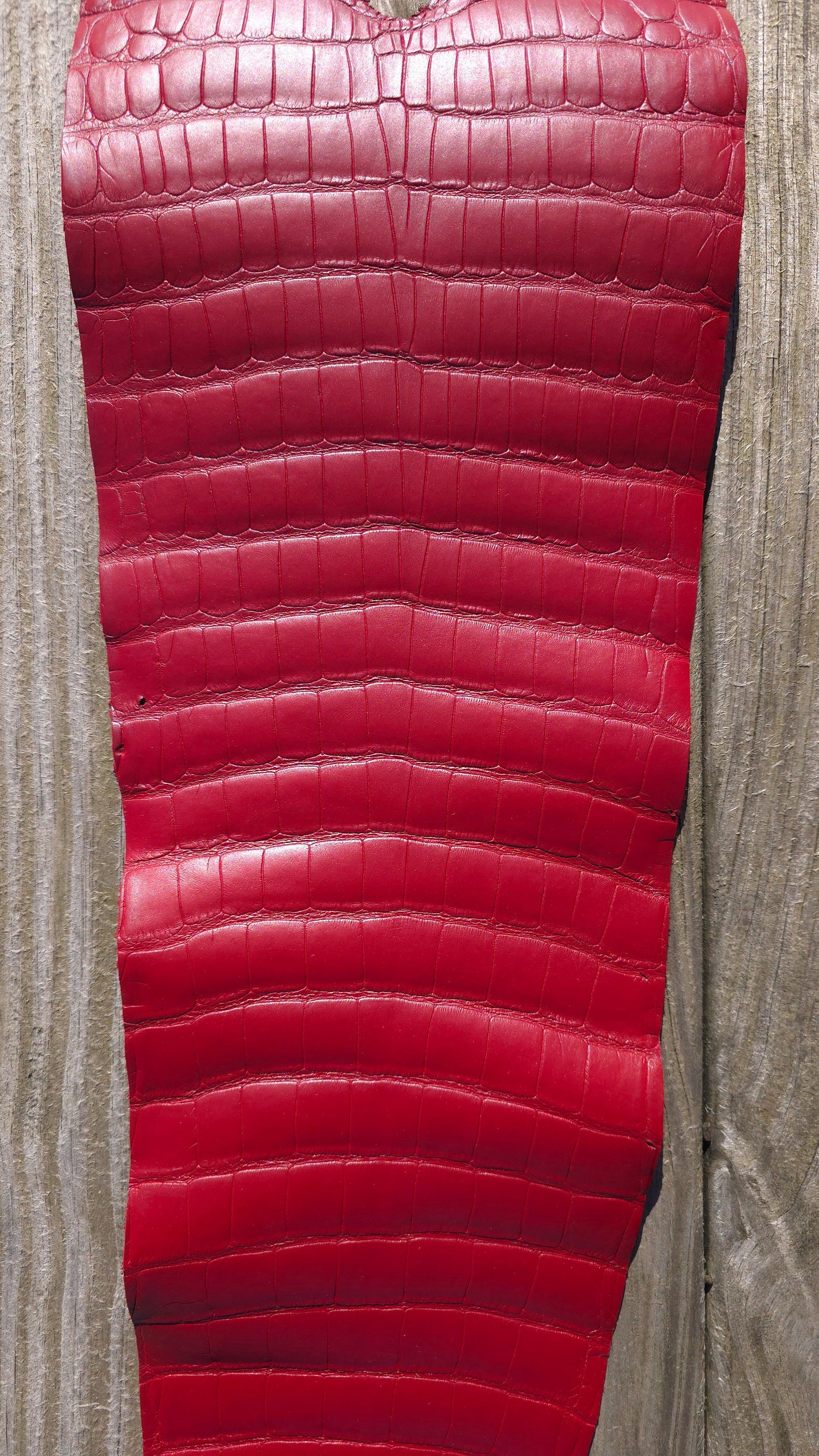 Alligator Leather (Farm Raised) - Red (28cm / Grade 1 / Matte)