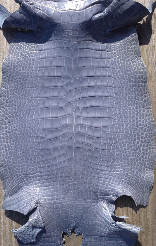 Alligator Leather (Farm Raised) - Glacier Grey (30cm / Grade 1/2 / Glazed)