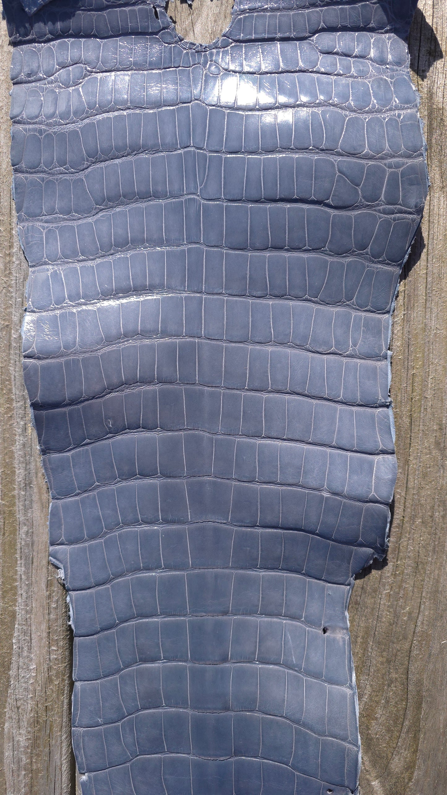 Alligator Leather (Farm Raised) - Glacier Grey (30cm / Grade 1/2 / Glazed)