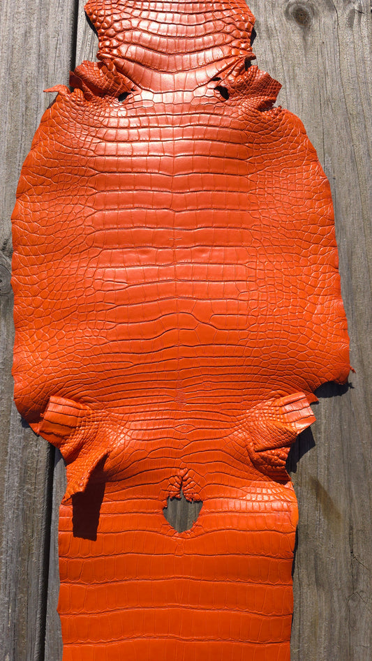 Alligator Leather (Farm Raised) - Orange (27cm / Grade 1/2 / Matte)