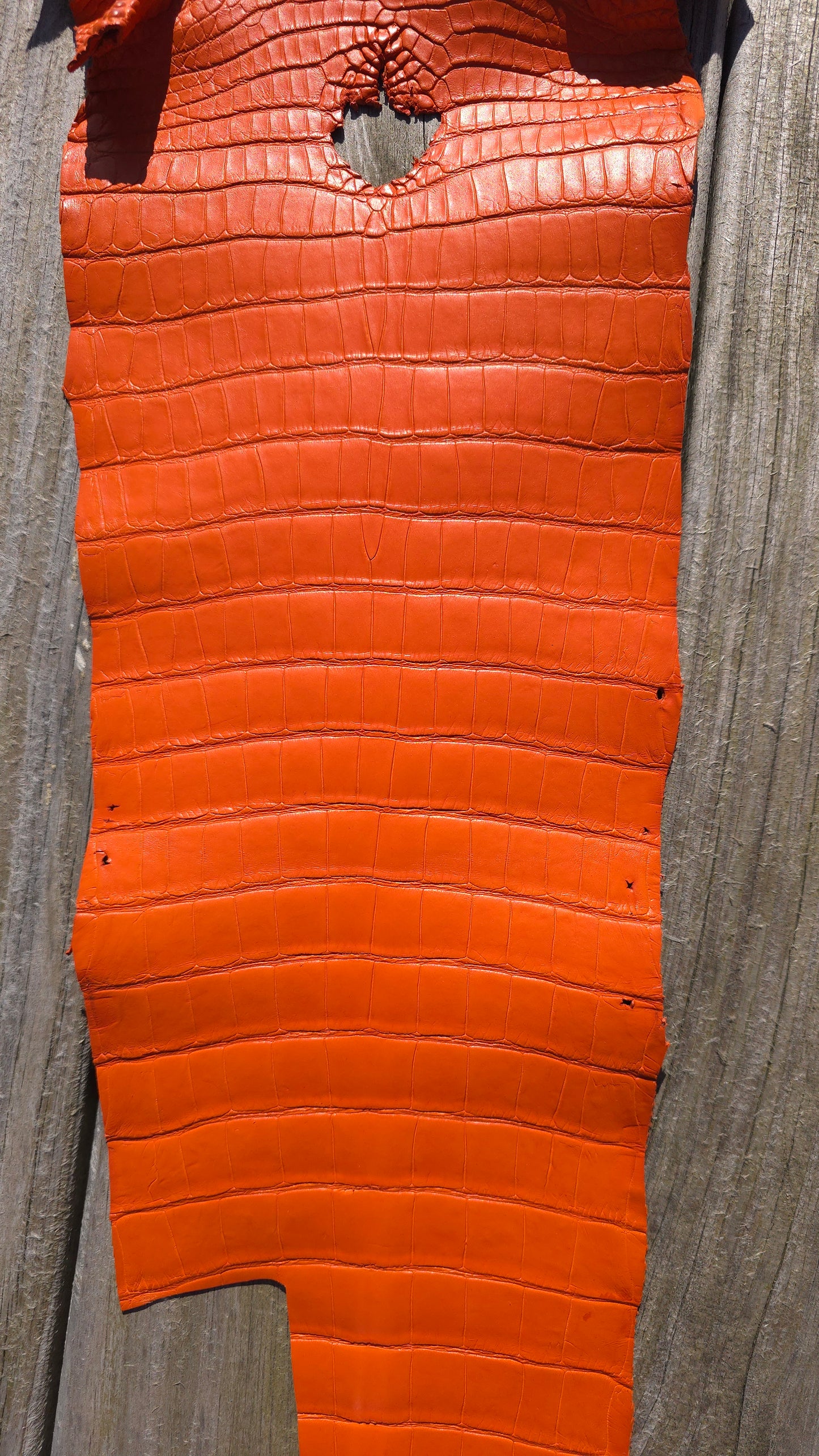 Alligator Leather (Farm Raised) - Orange (27cm / Grade 1/2 / Matte)