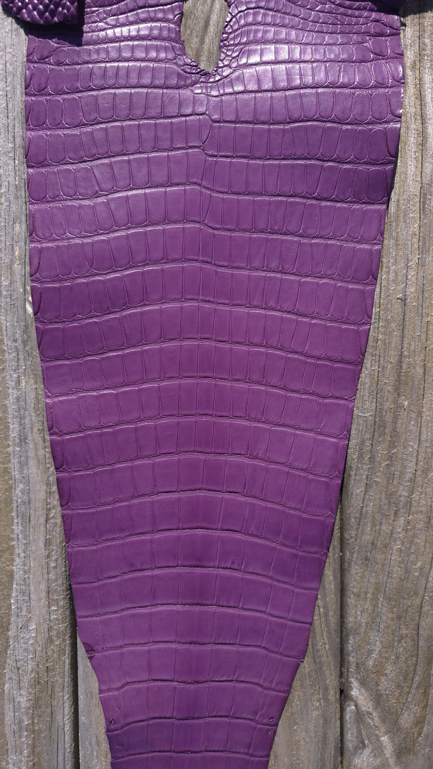 Alligator Leather (Farm Raised) - Lilac Purple (26cm / Grade 1/2 / Matte)