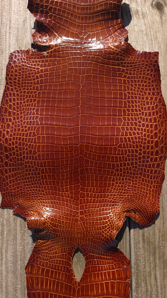 Crocodile Leather (Farm Raised) - Cognac (29cm / Grade 1/2 / Glazed)