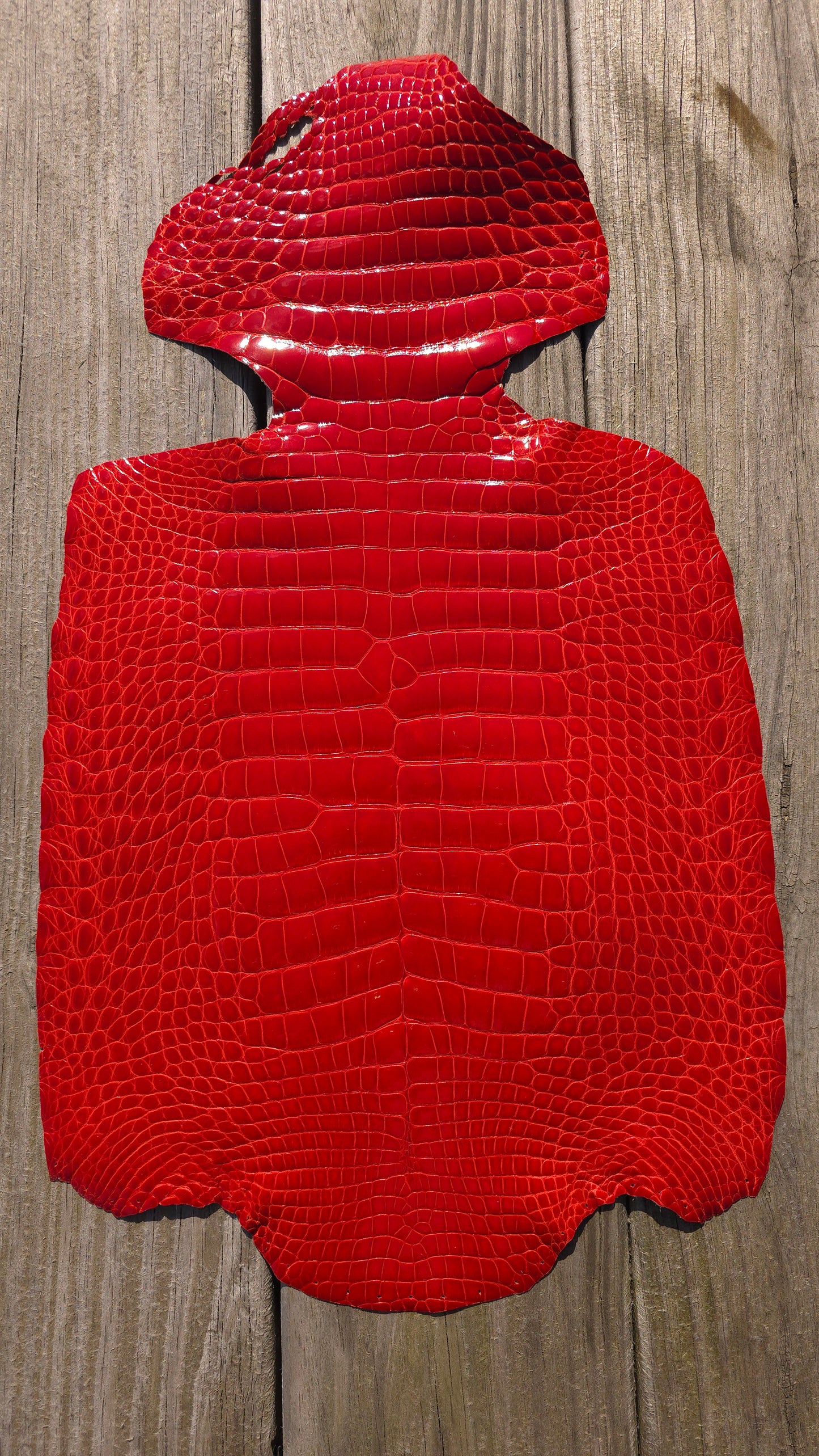 Alligator Leather (Body Only/Farm Raised) - Candy Apple Red (~29cm / Grade 1 / Glazed)