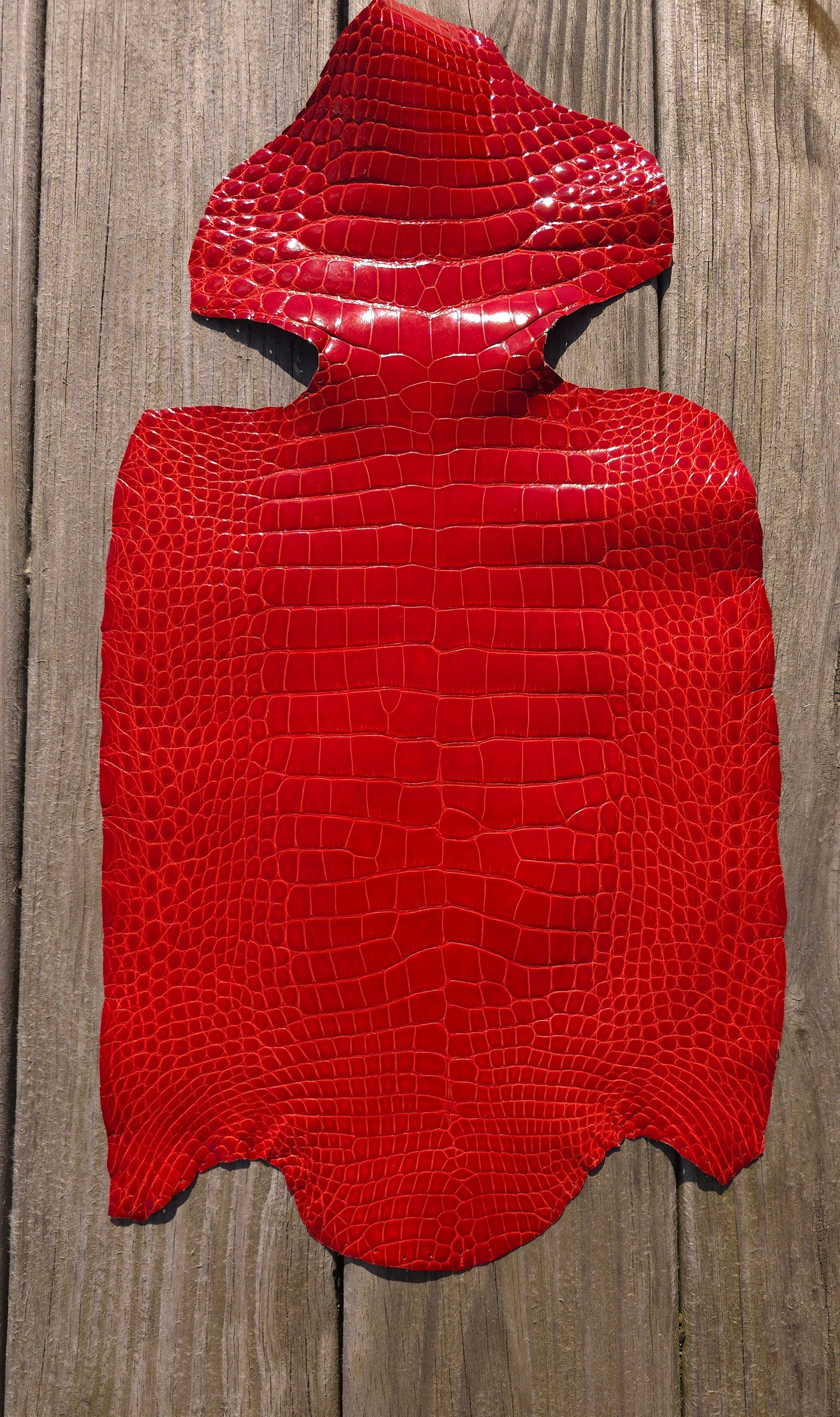 Alligator Leather (Body Only/Farm Raised) - Candy Apple Red (~29cm / Grade 1 / Glazed)