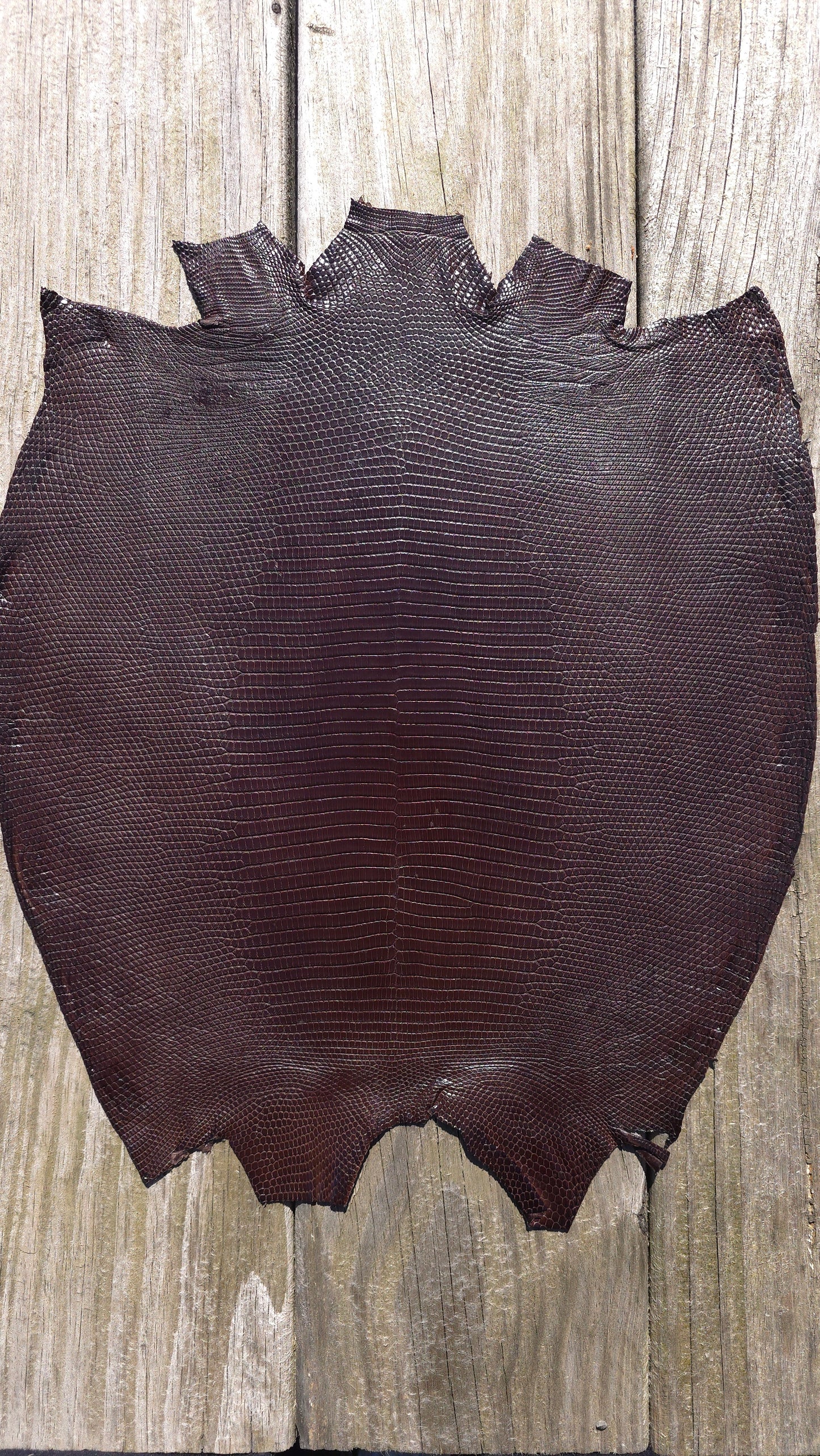 Lizard - Dark Brown ( Millenium)