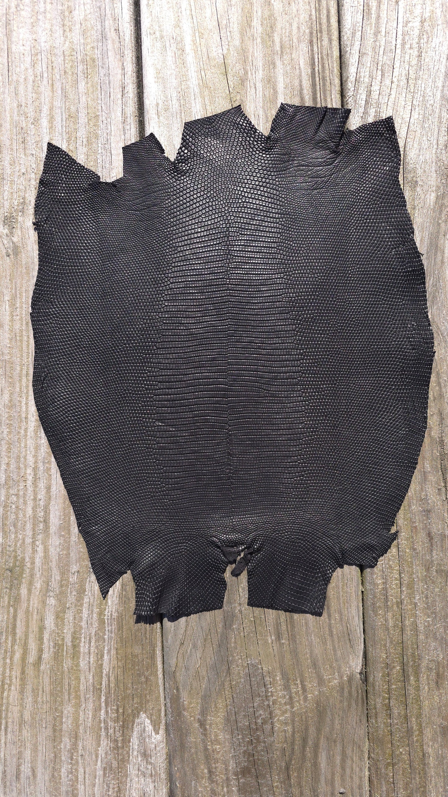 Lizard - Black (Matte)