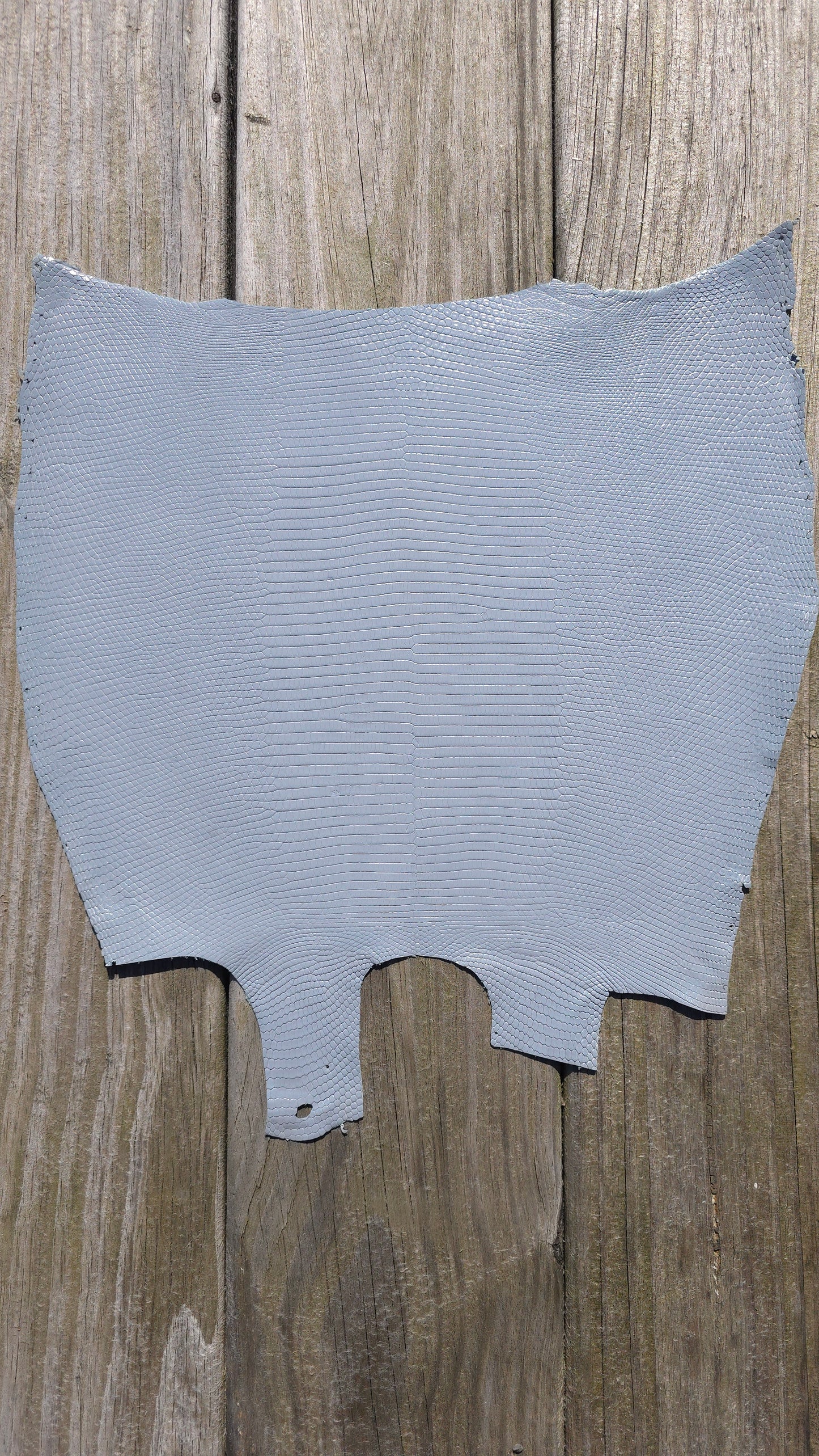Lizard - Glacier Grey (Millenium)