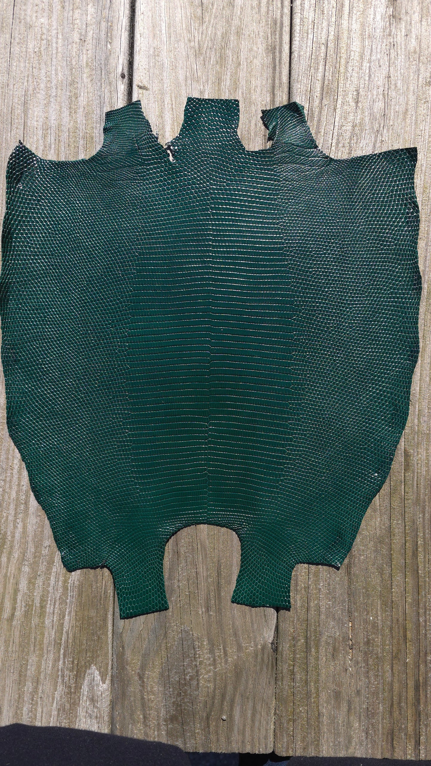 Lizard - Forest Green (Millenium)