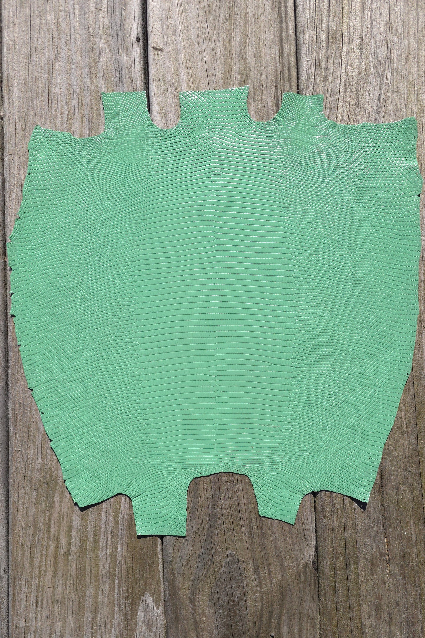 Lizard - Mint Green (Millenium)