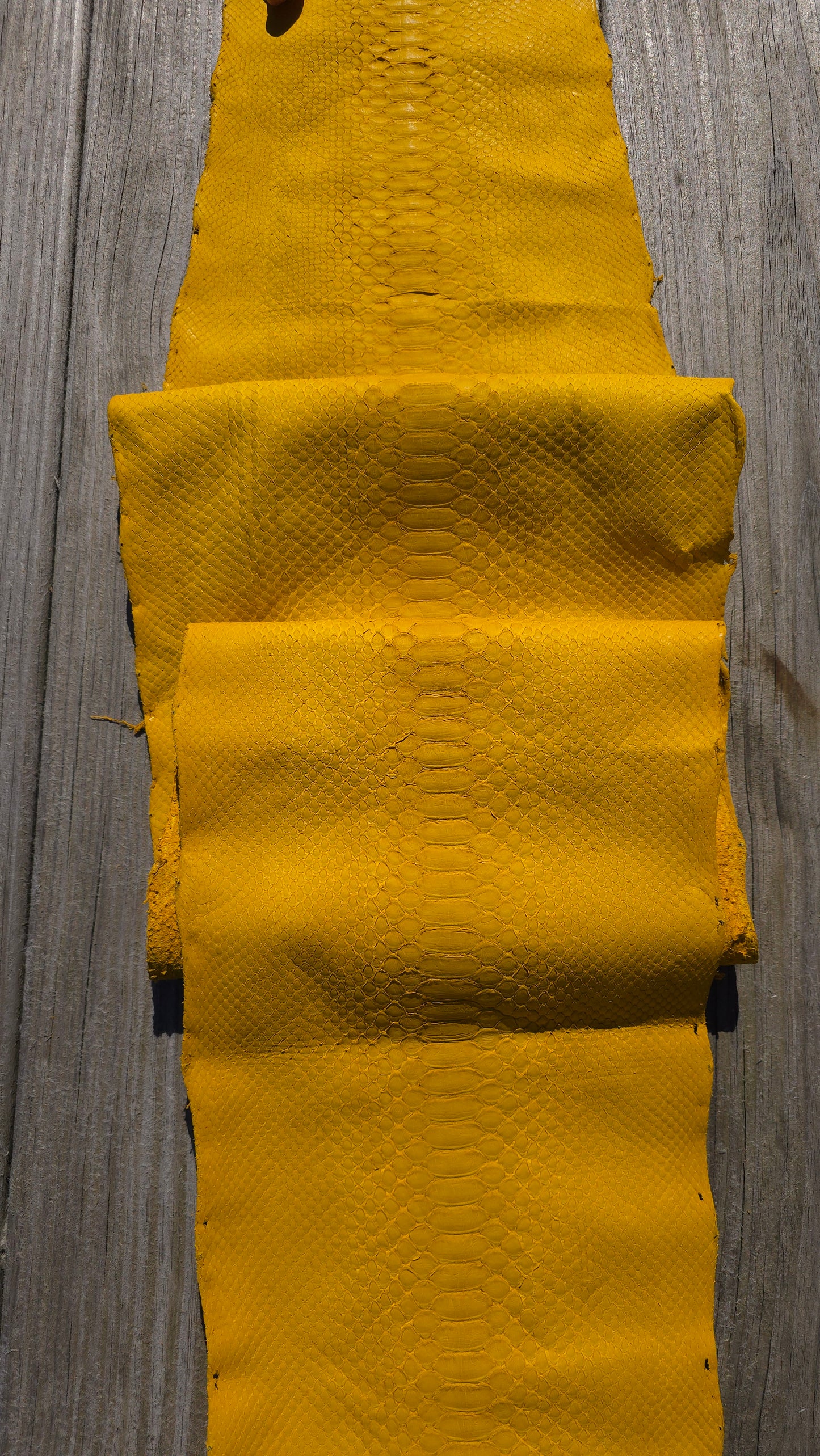 Python - Yellow (Matte)