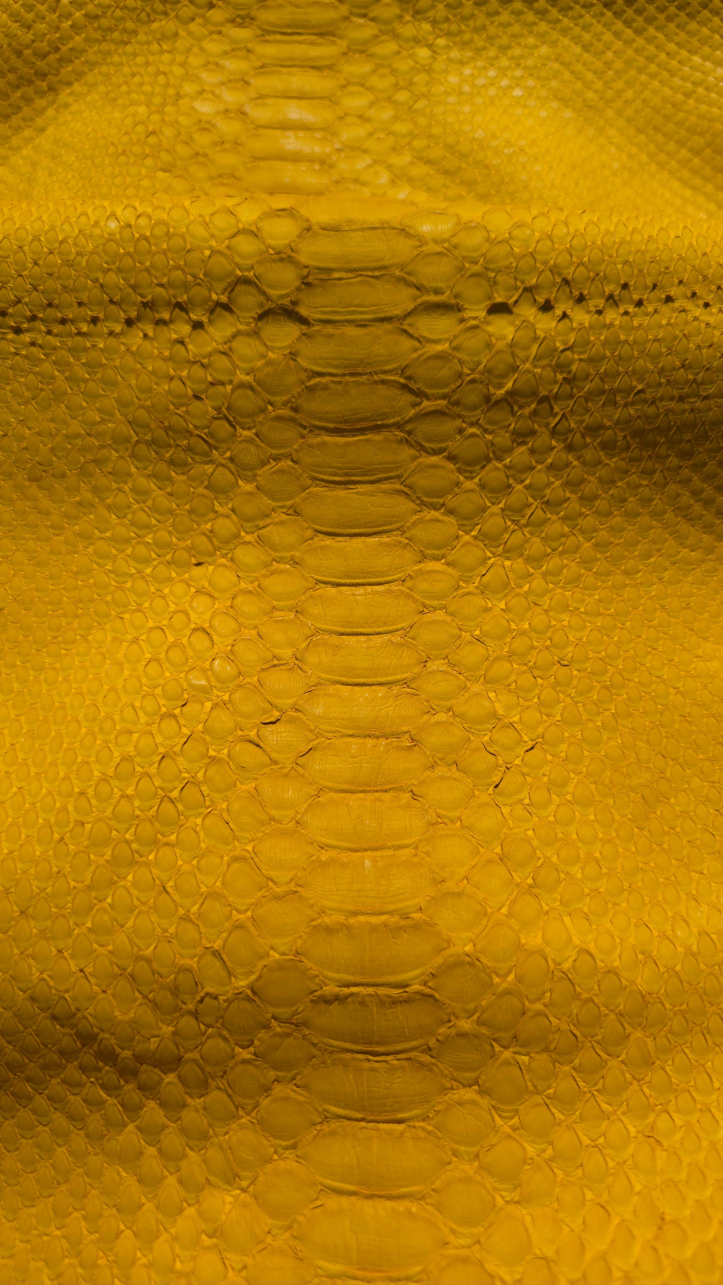 Python - Yellow (Matte)