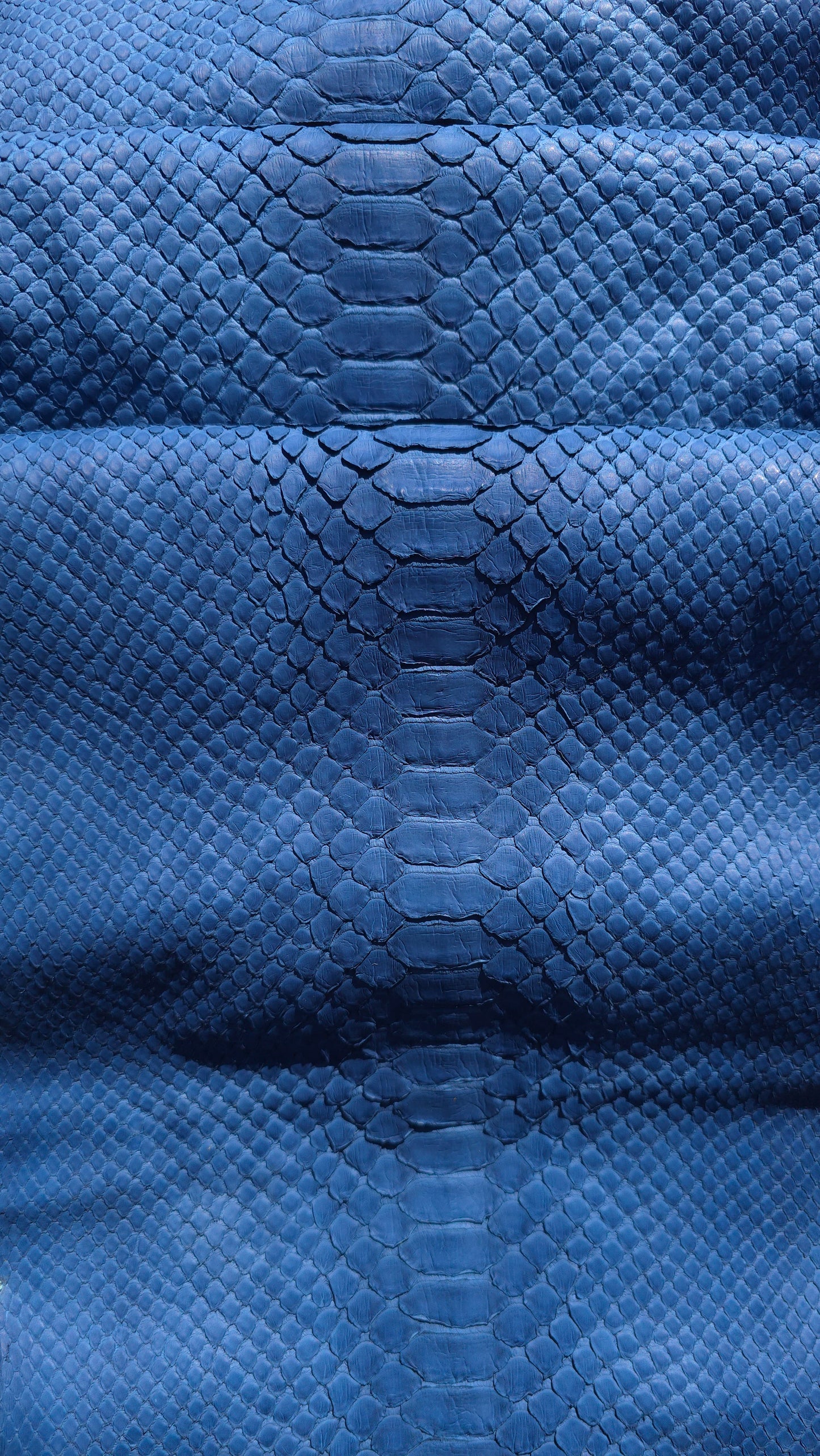 Python - Navy (Matte)