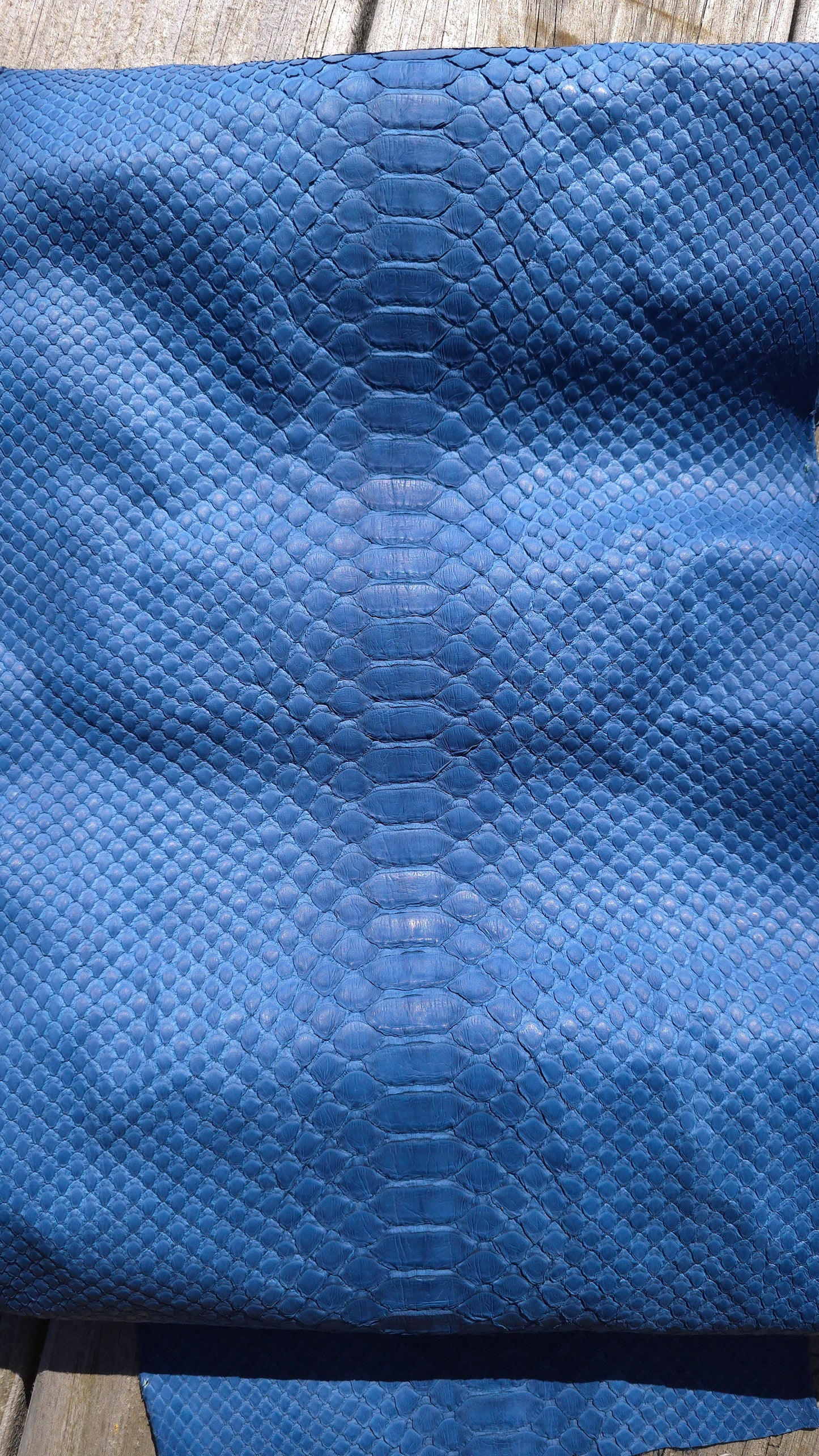 Python - Navy (Matte)