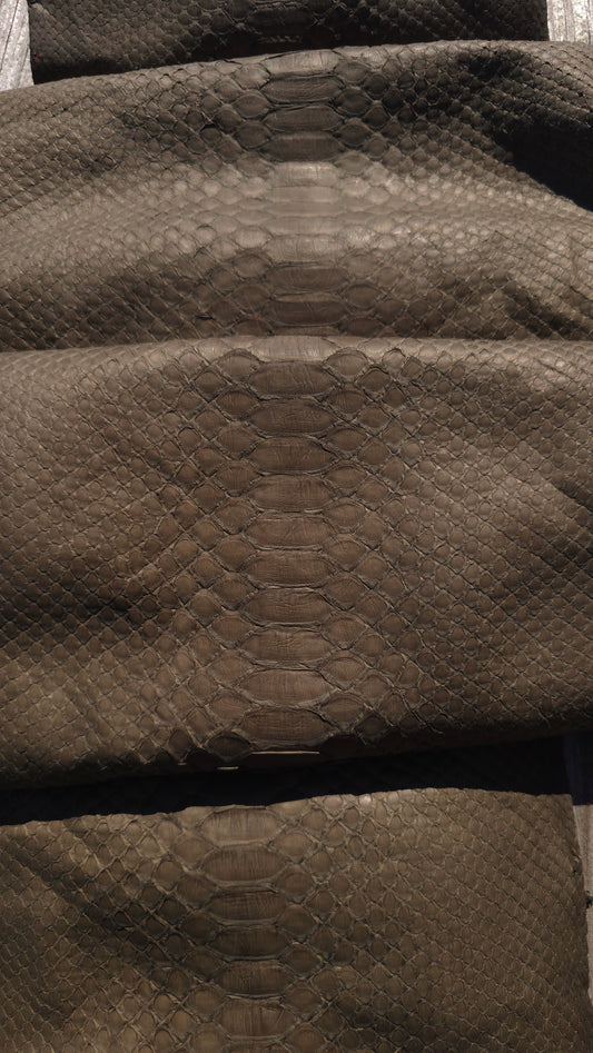 Python - Olive (Matte)