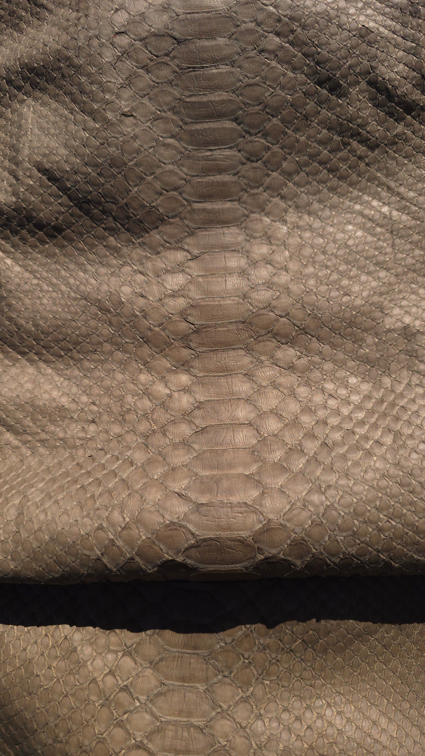 Python - Olive (Matte)