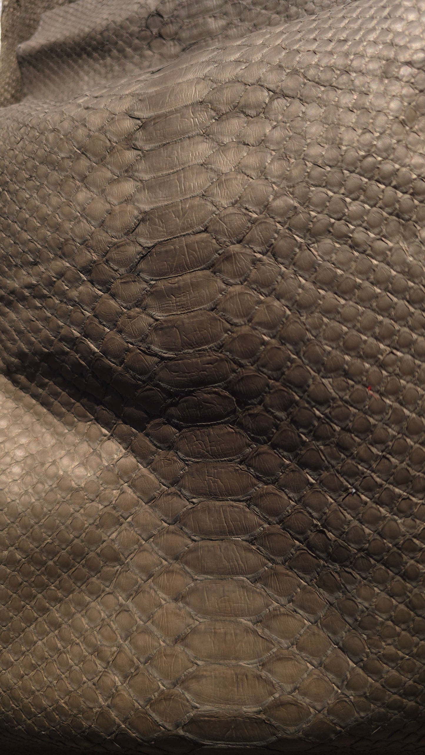 Python - Olive (Matte)