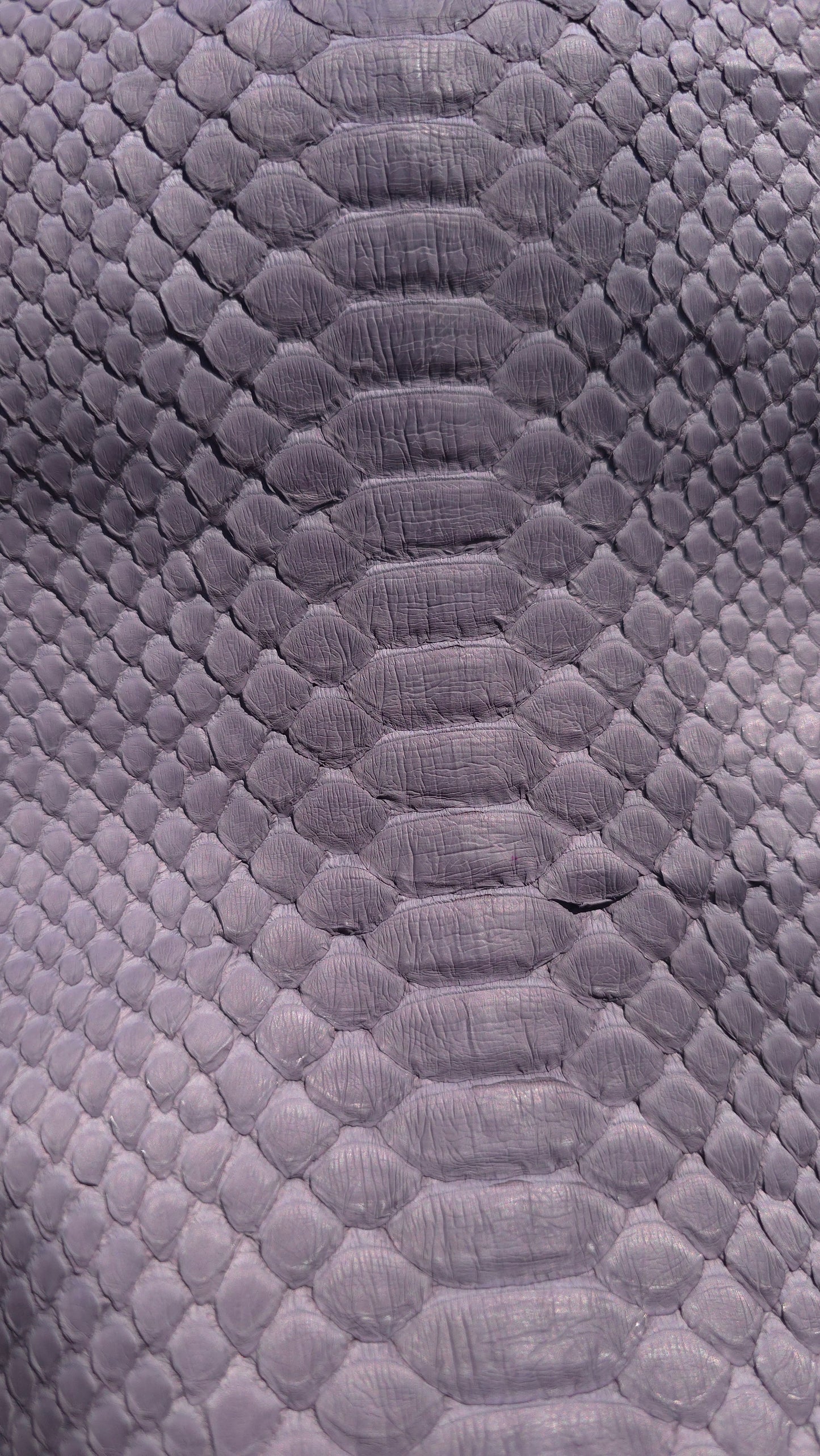 Python - Grey (Matte)