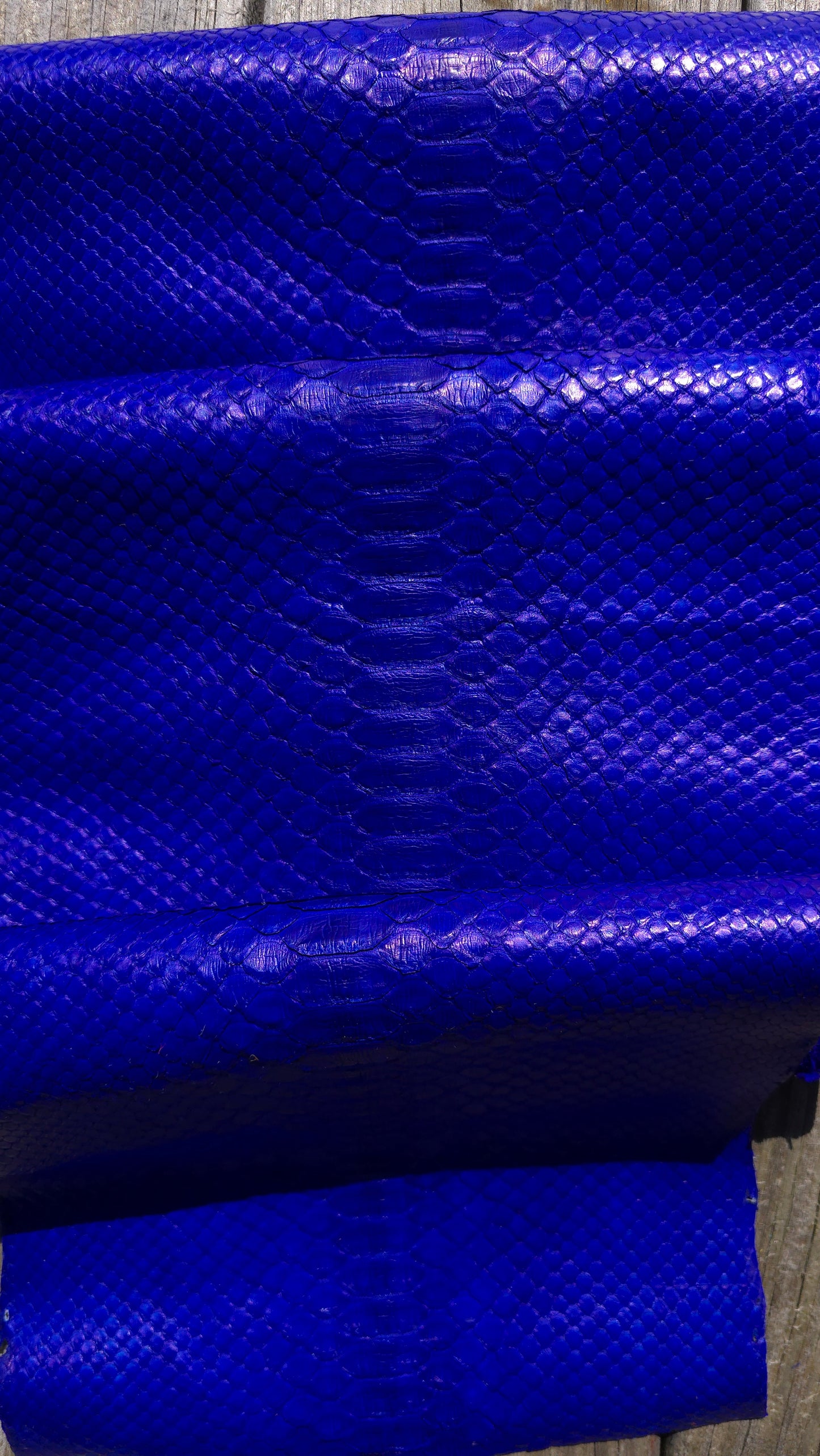 Python - Electric Blue (Millenium)