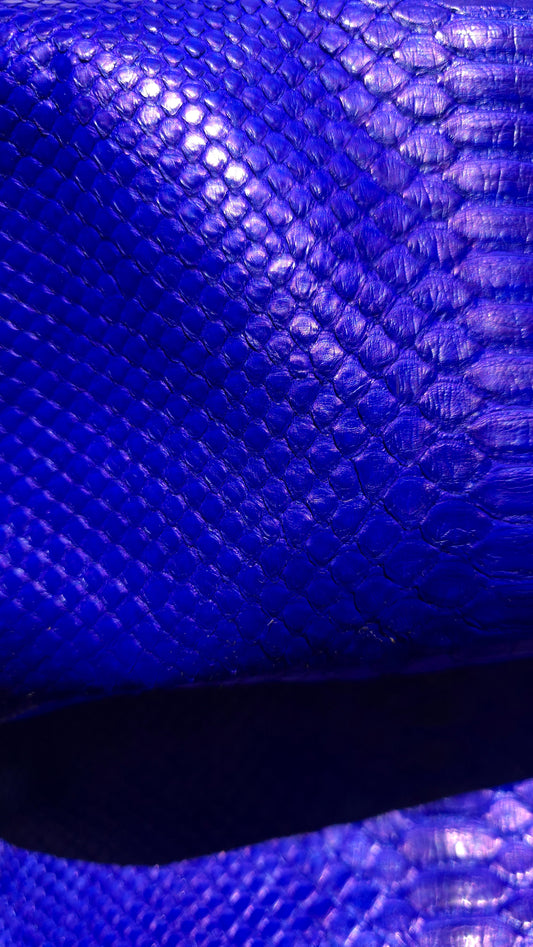 Python - Electric Blue (Millenium)