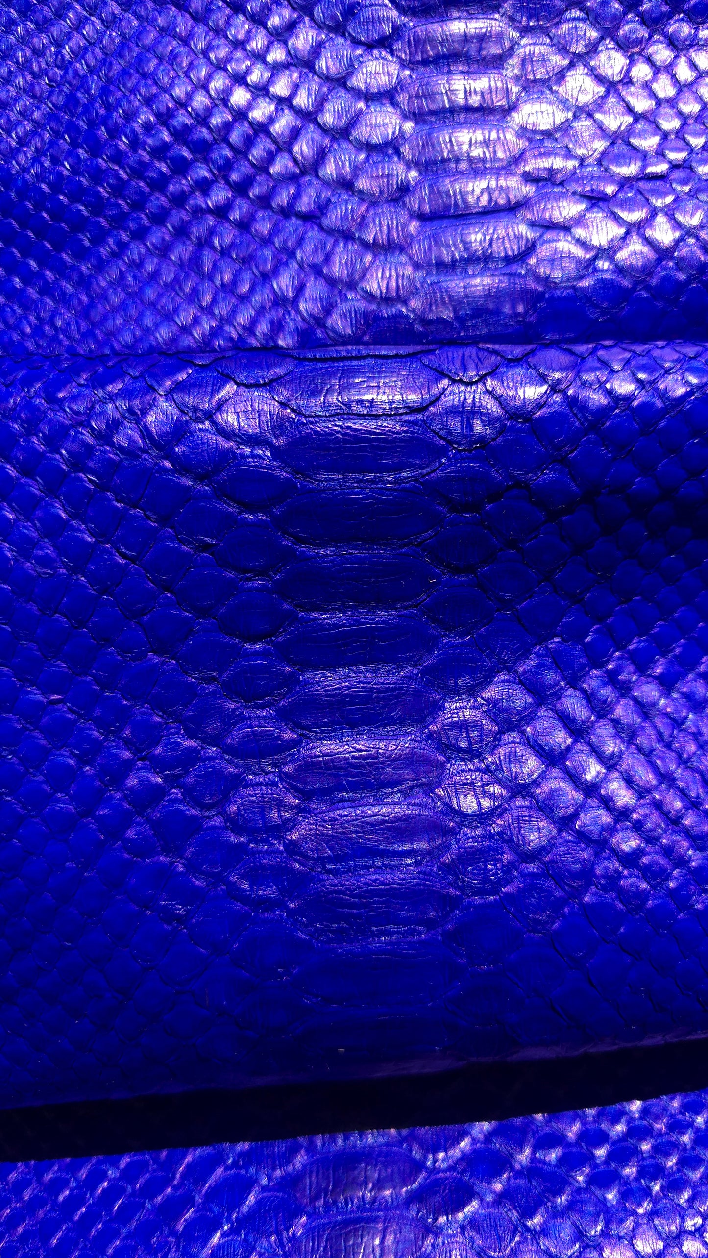 Python - Electric Blue (Millenium)