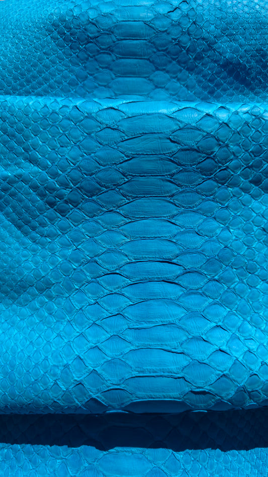 Python - Miami Blue (Matte)