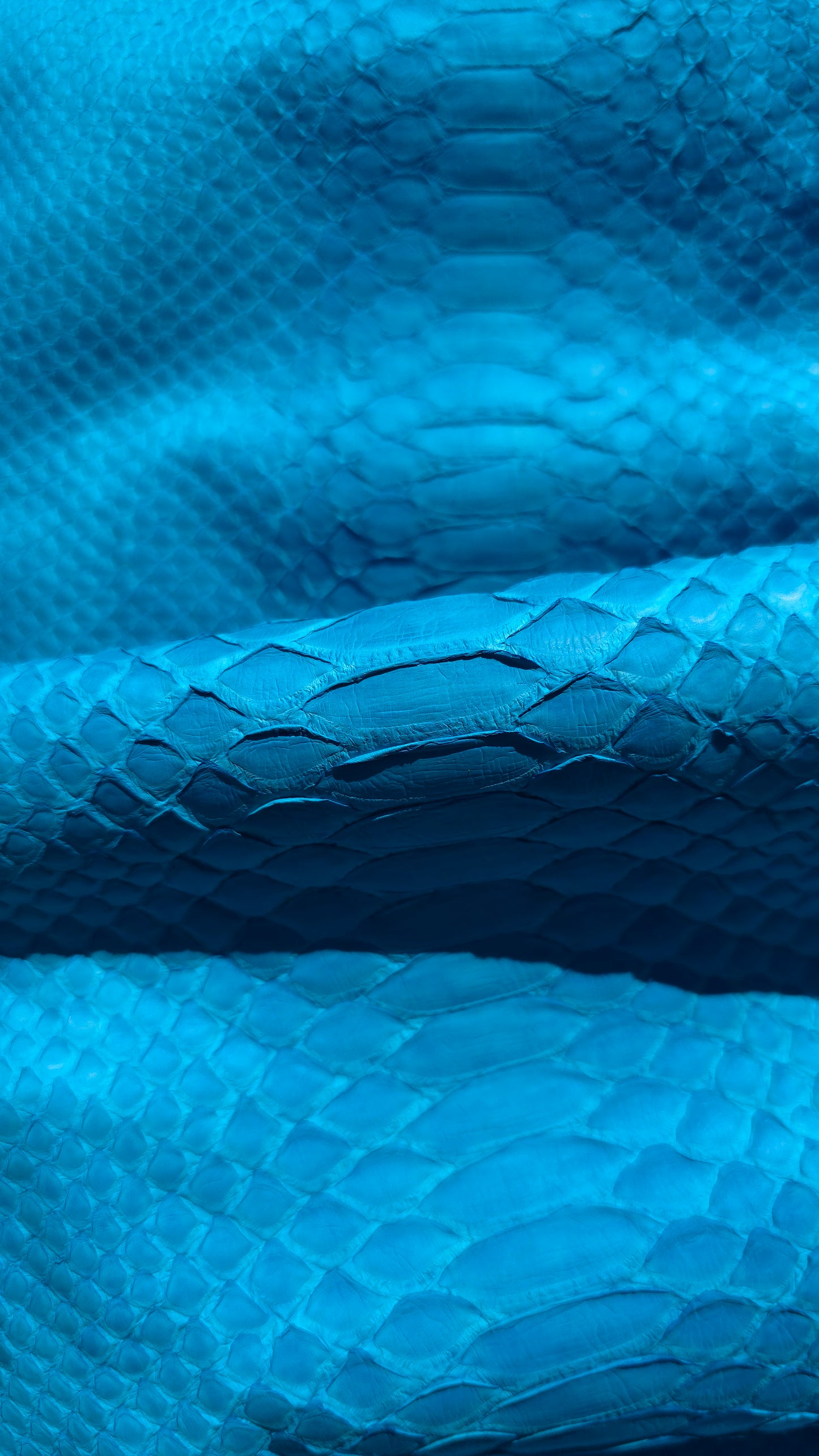 Python - Miami Blue (Matte)
