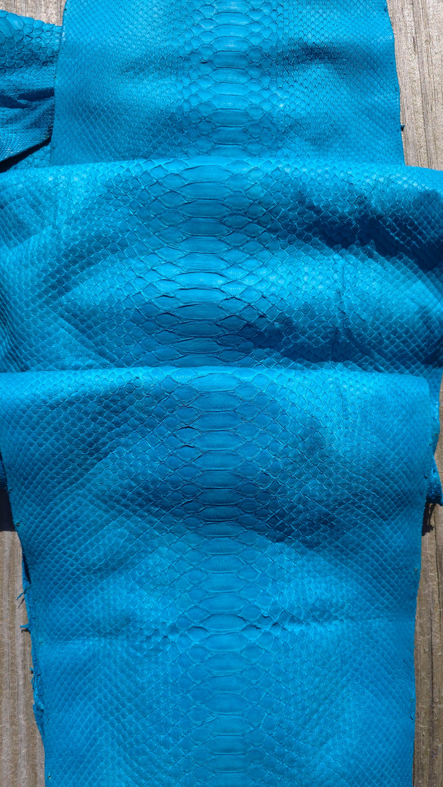 Python - Miami Blue (Matte)
