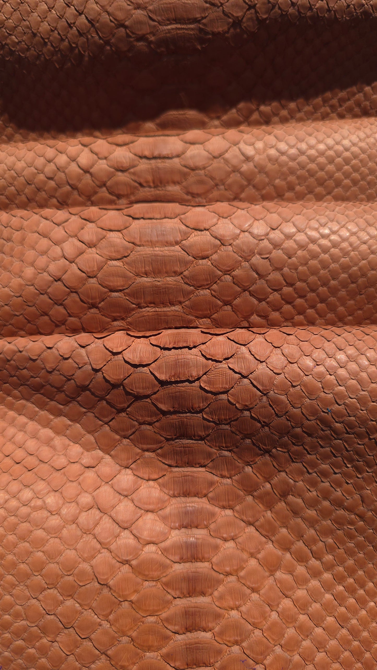 Python - Tan (Matte)