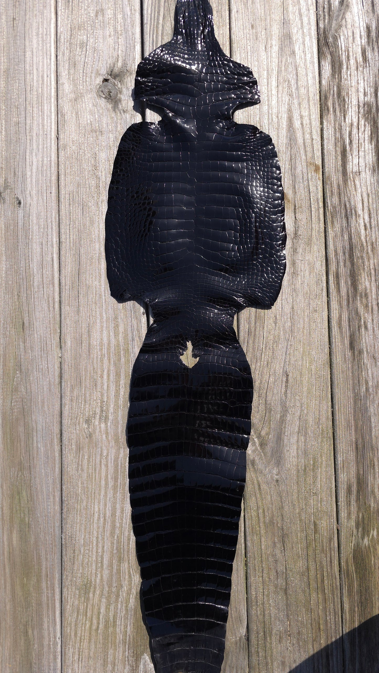 Alligator Leather (Farm Raised) - Black (28cm / Grade 1 / Glazed)
