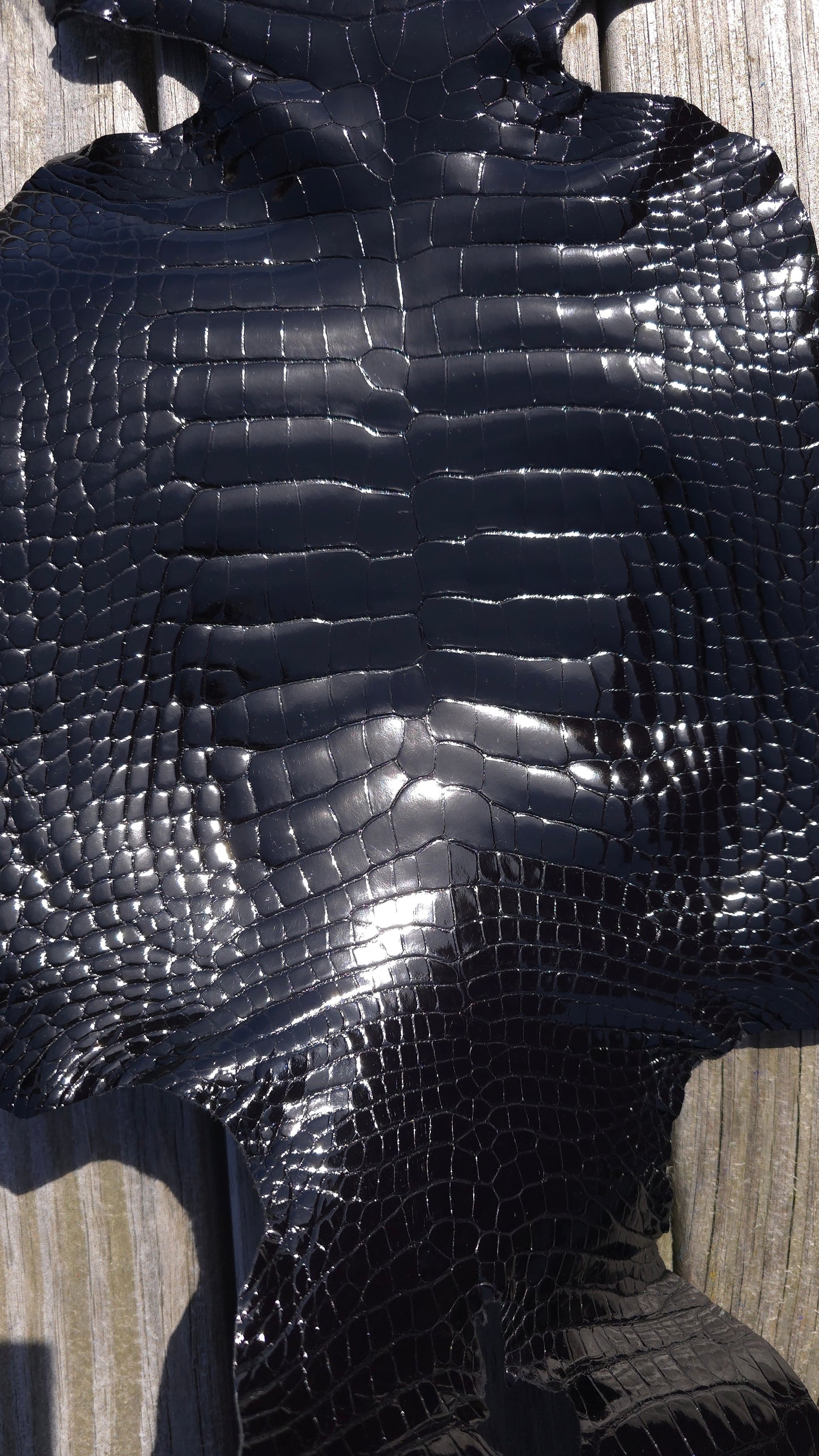 Alligator Leather (Farm Raised) - Black (28cm / Grade 1 / Glazed)