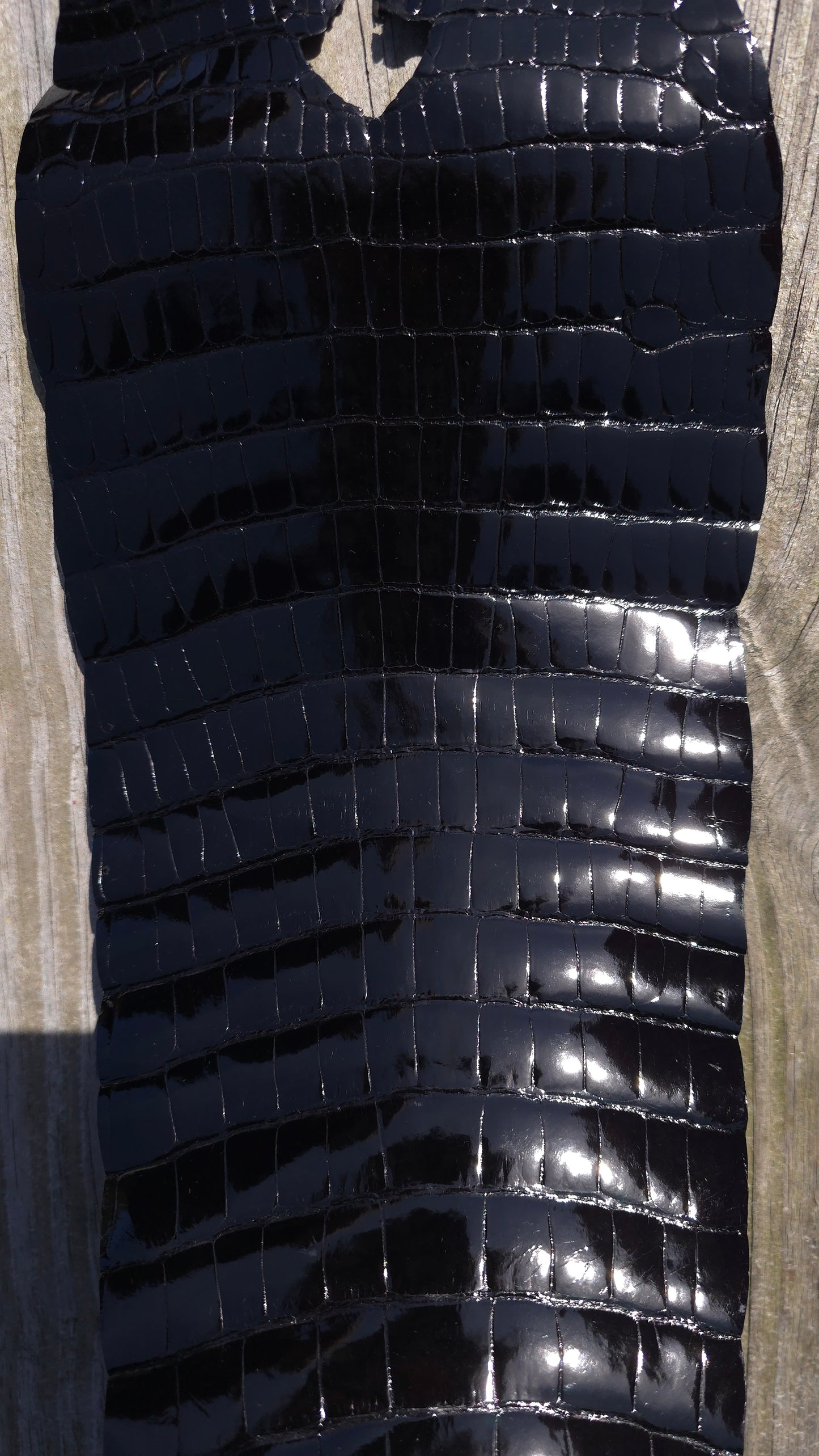 Alligator Leather (Farm Raised) - Black (28cm / Grade 1 / Glazed)