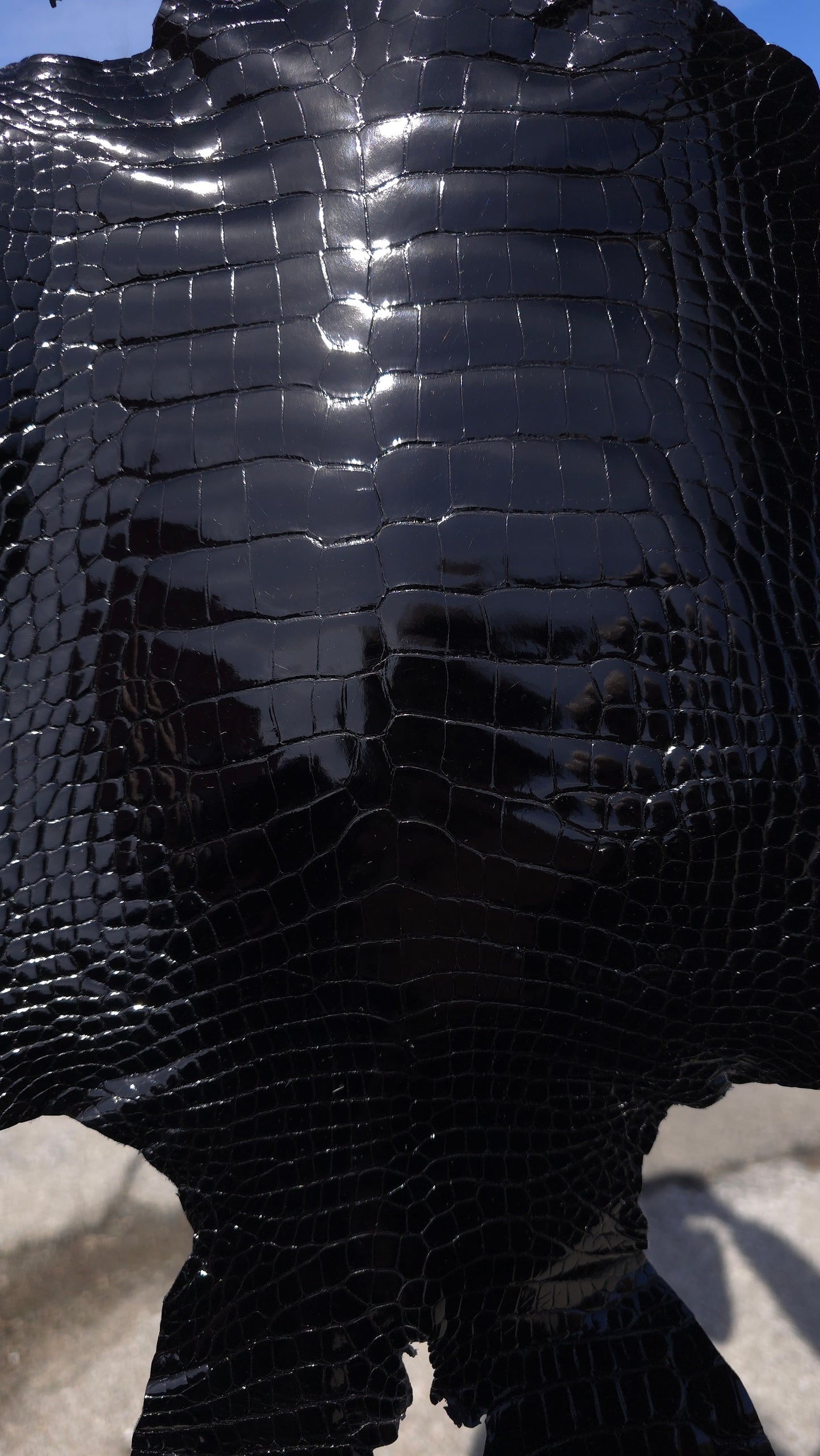 Alligator Leather (Farm Raised) - Black (28cm / Grade 1 / Glazed)