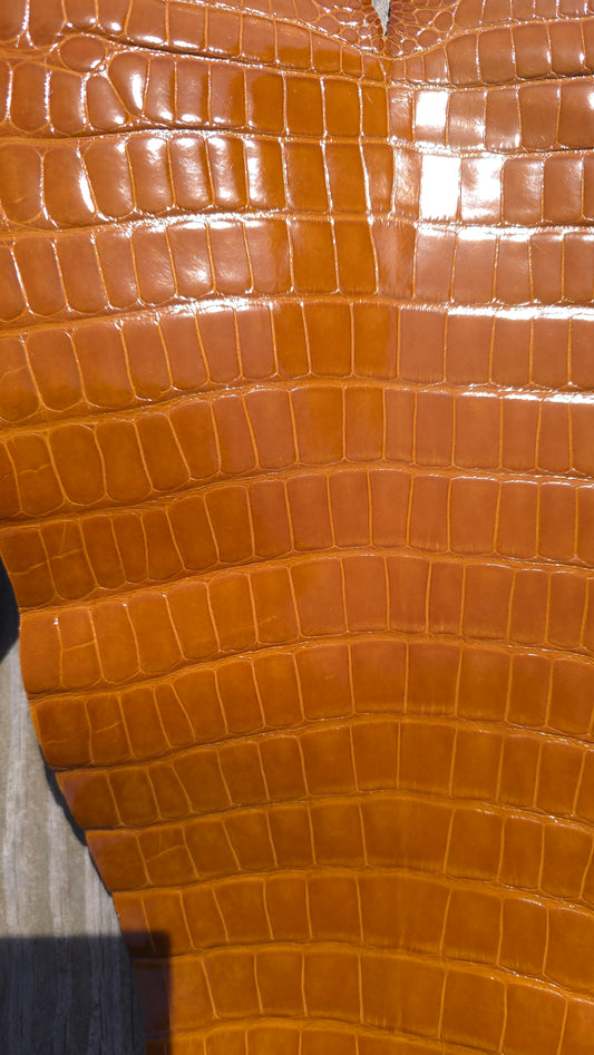 Alligator Leather (Tail Only/Farm Raised) - Honey Gold (Medium Tail / Grade 1 / Glazed)