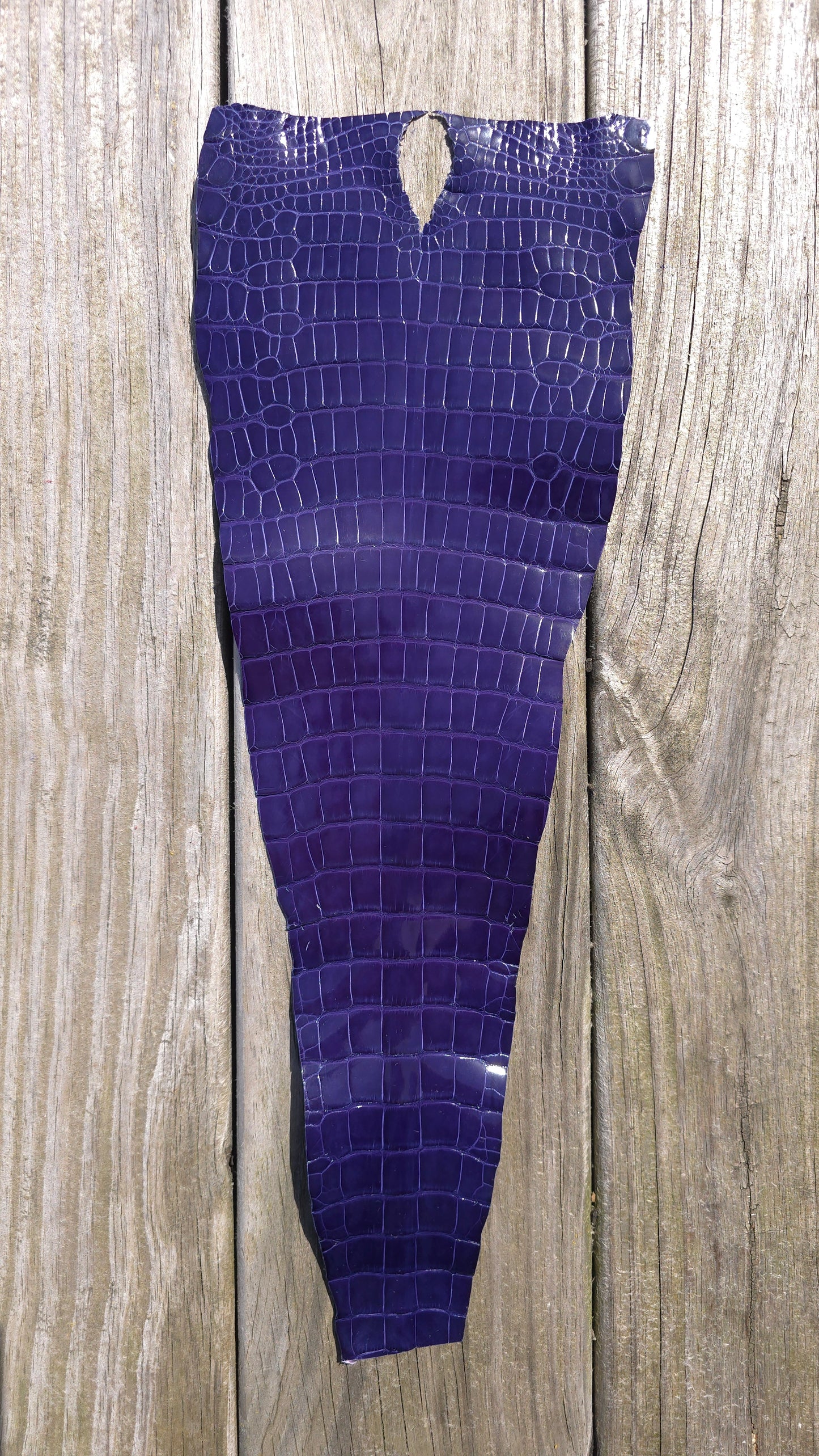 Alligator Leather (Tail Only/Farm Raised) - Lavender Purple (Small Tail / Grade 1 / Glazed)
