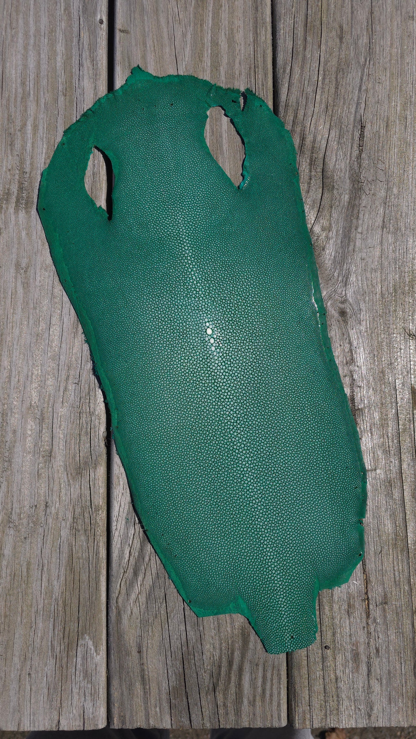 Stingray Leather - Green Polished