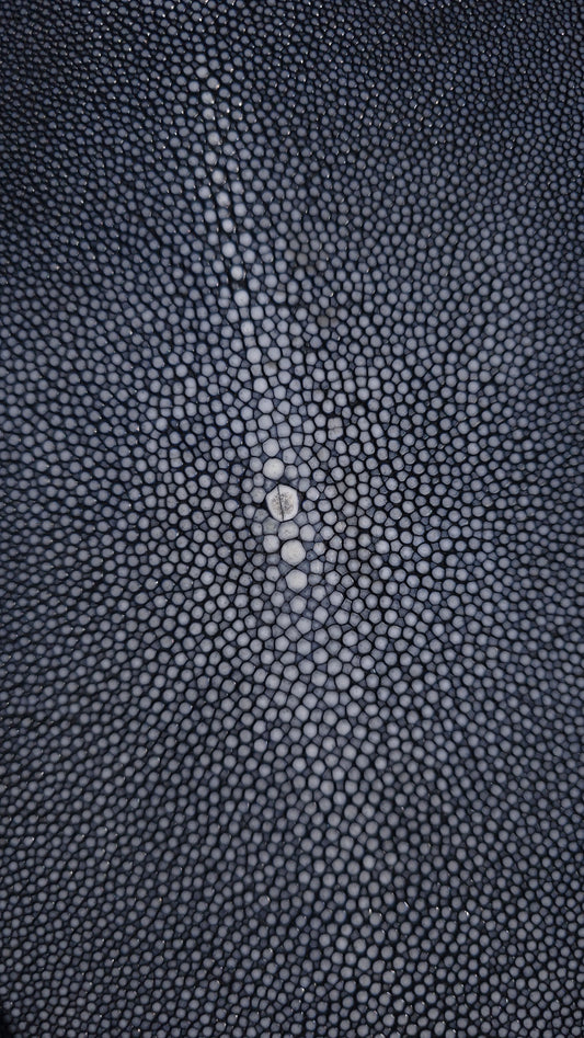 Stingray Leather - Black Polished
