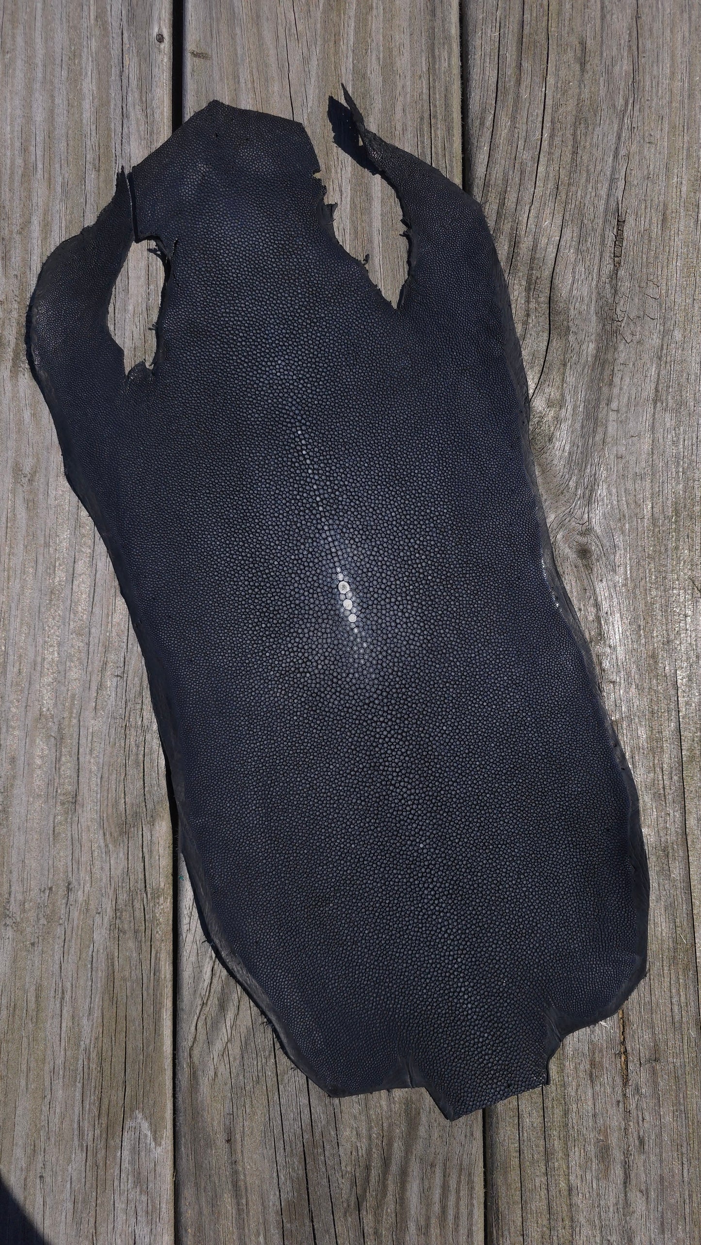 Stingray Leather - Black Polished