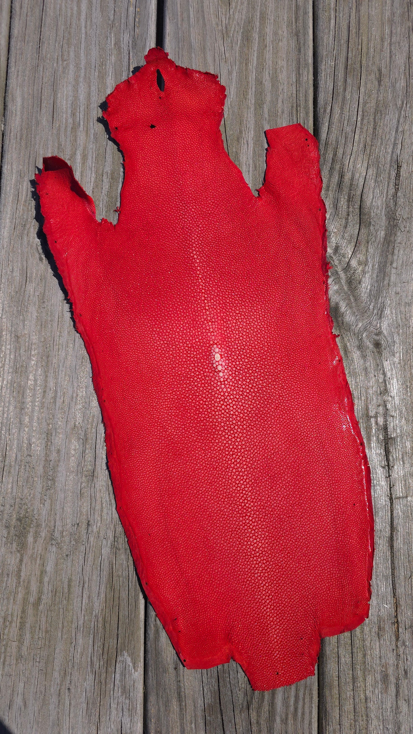 Stingray Leather - Coral Red Polished