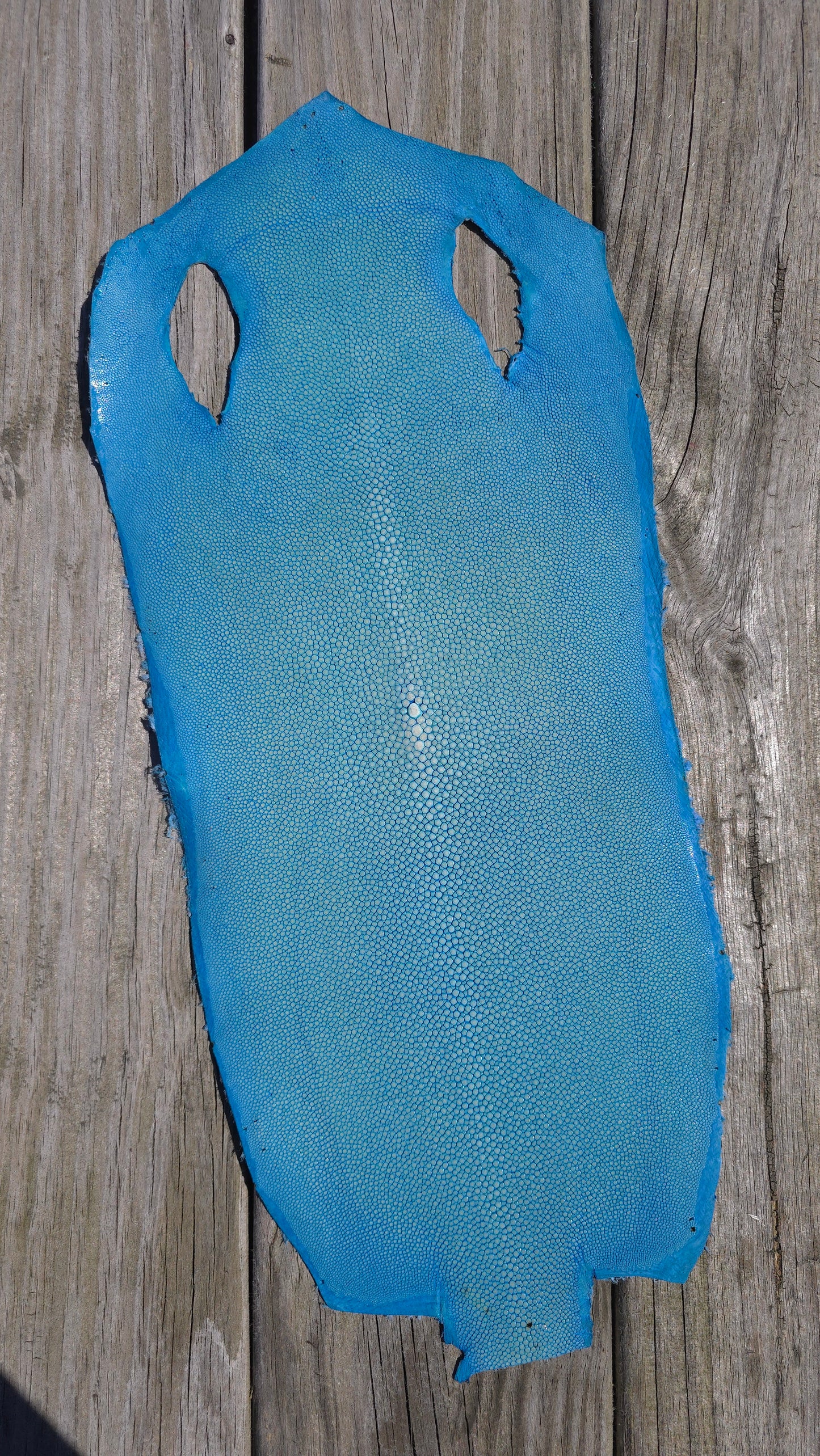 Stingray Leather - Baby Blue Polished