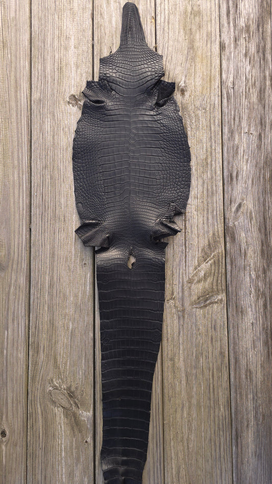 Alligator Leather (Farm Raised) - Black (24cm / Grade 1/2 / Matte)