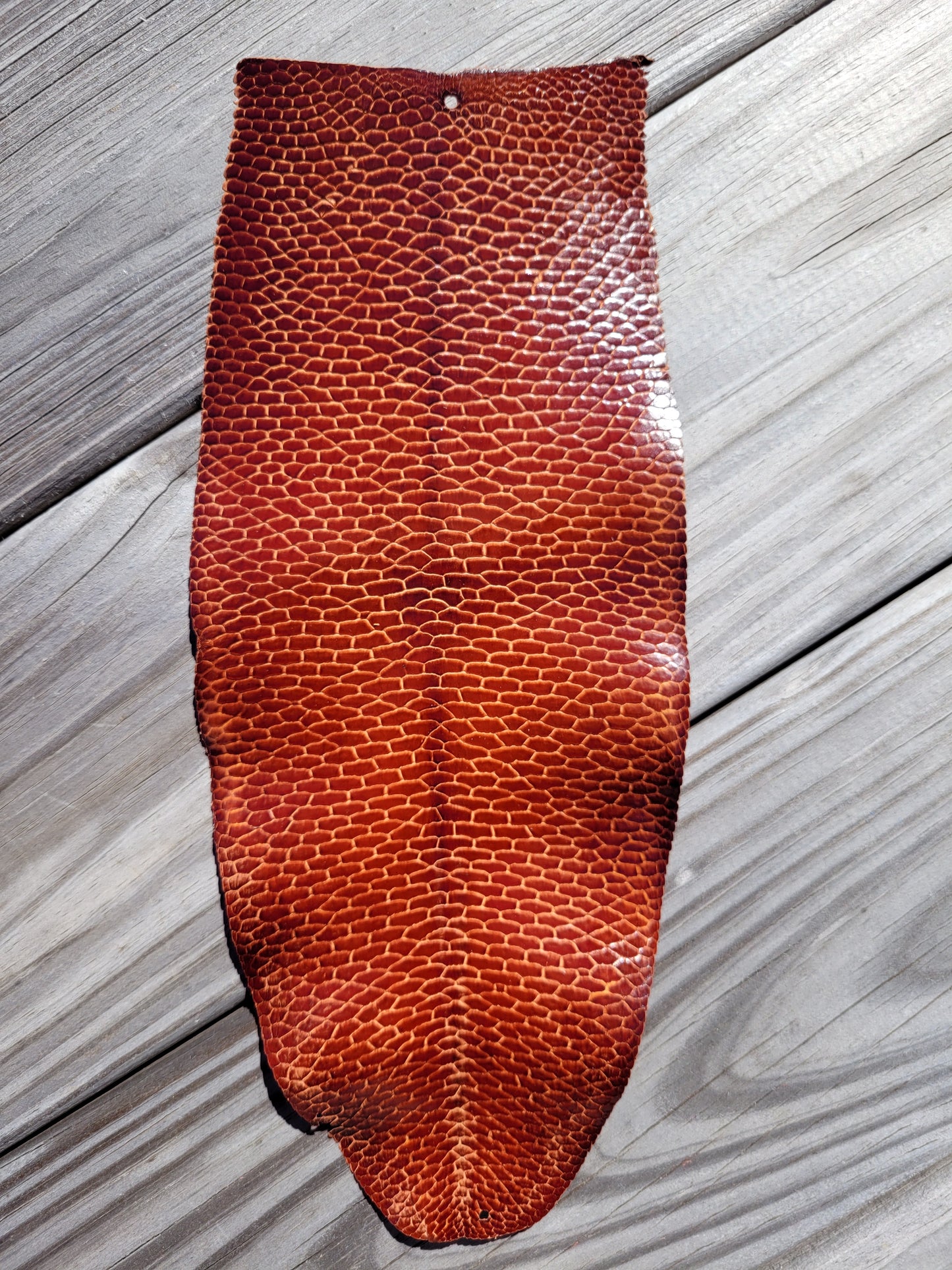 Beaver Tail - Cognac (Glazed)