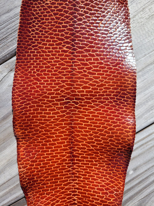 Beaver Tail - Cognac (Glazed)